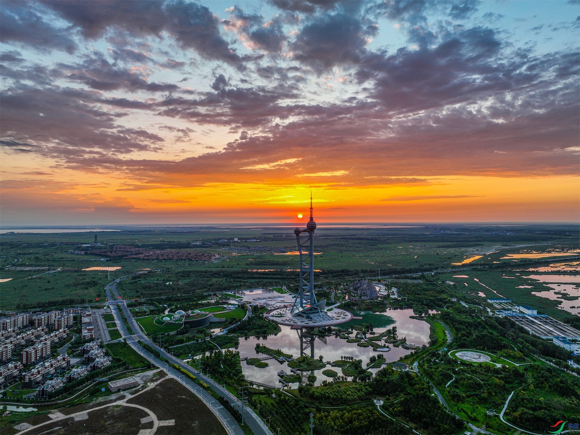 dji_fly_20230817_044442_933_1692264819432_photo ����1.jpg