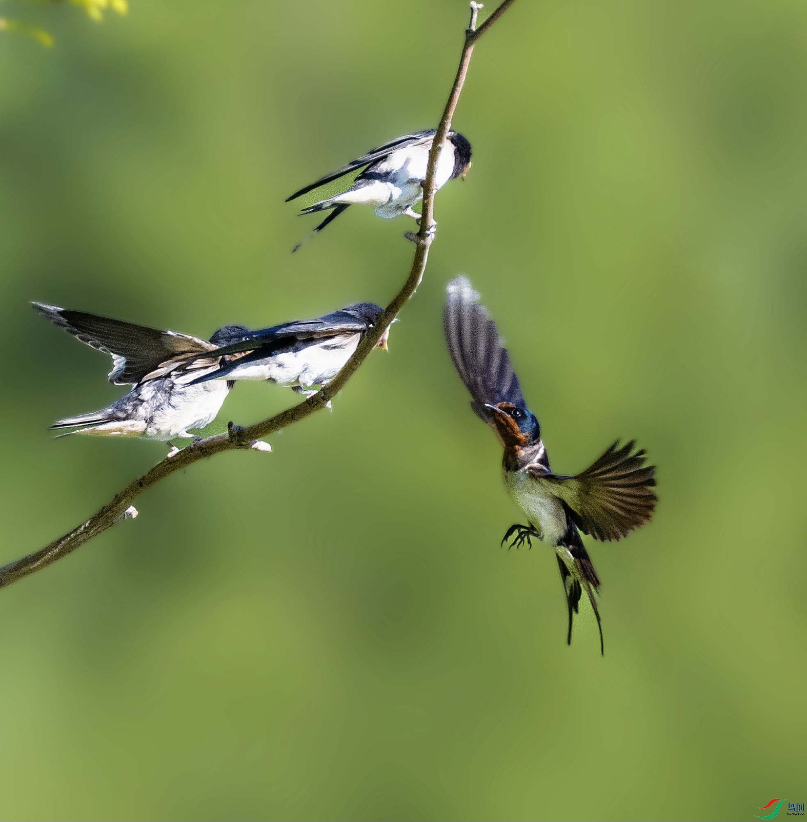 С��������