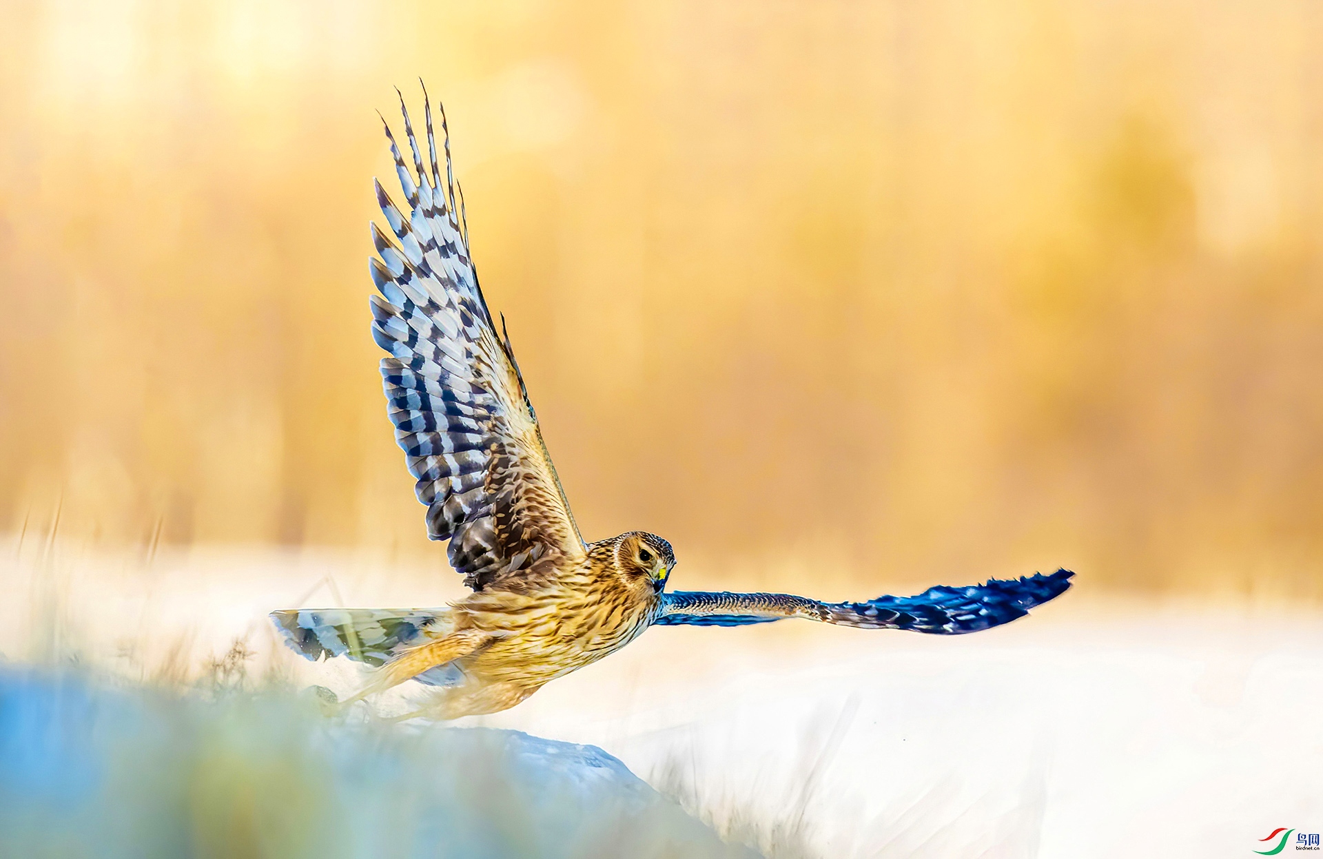 _8507704     okOK.jpg