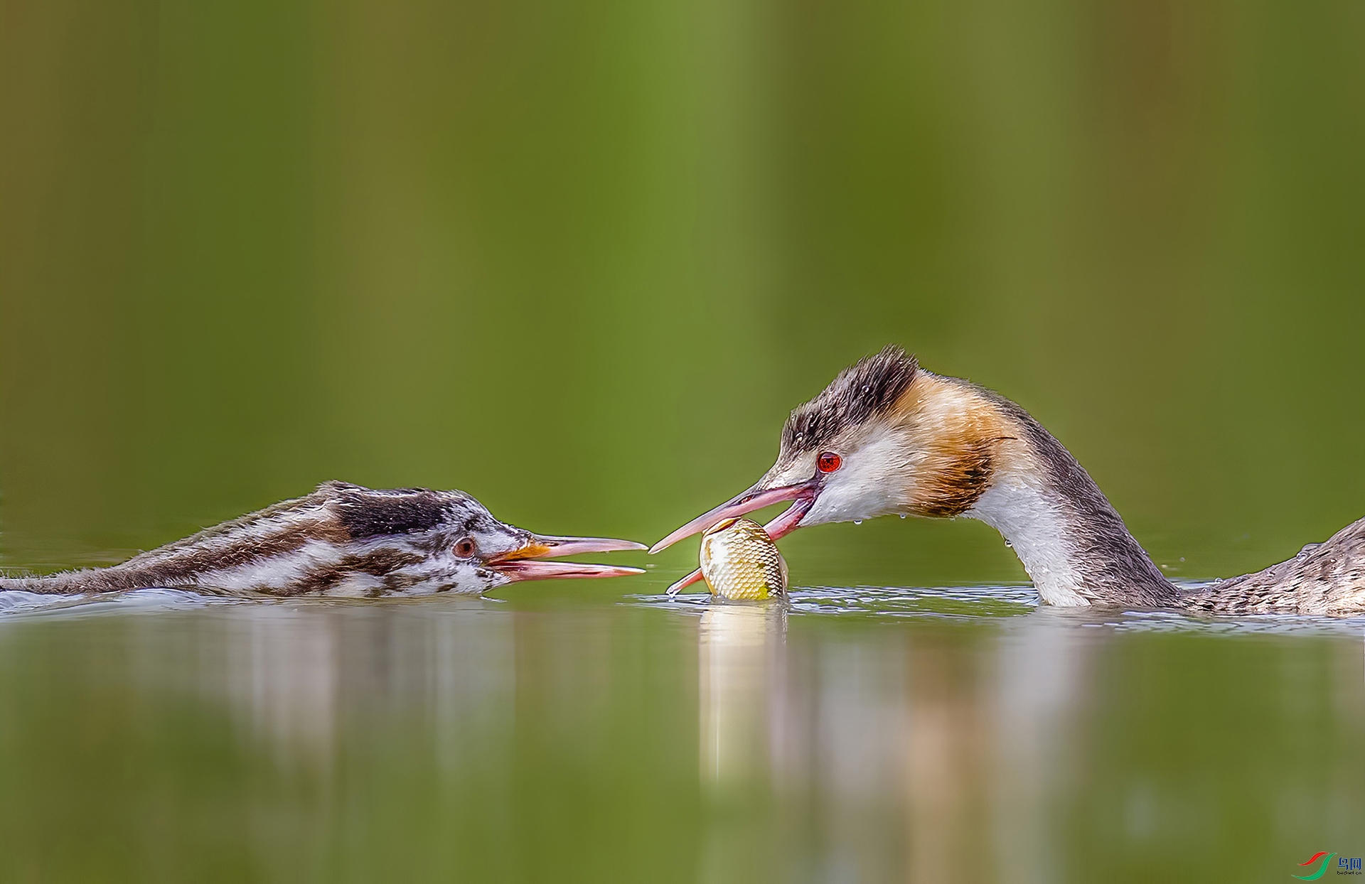 _JLN3225_1     ok.jpg