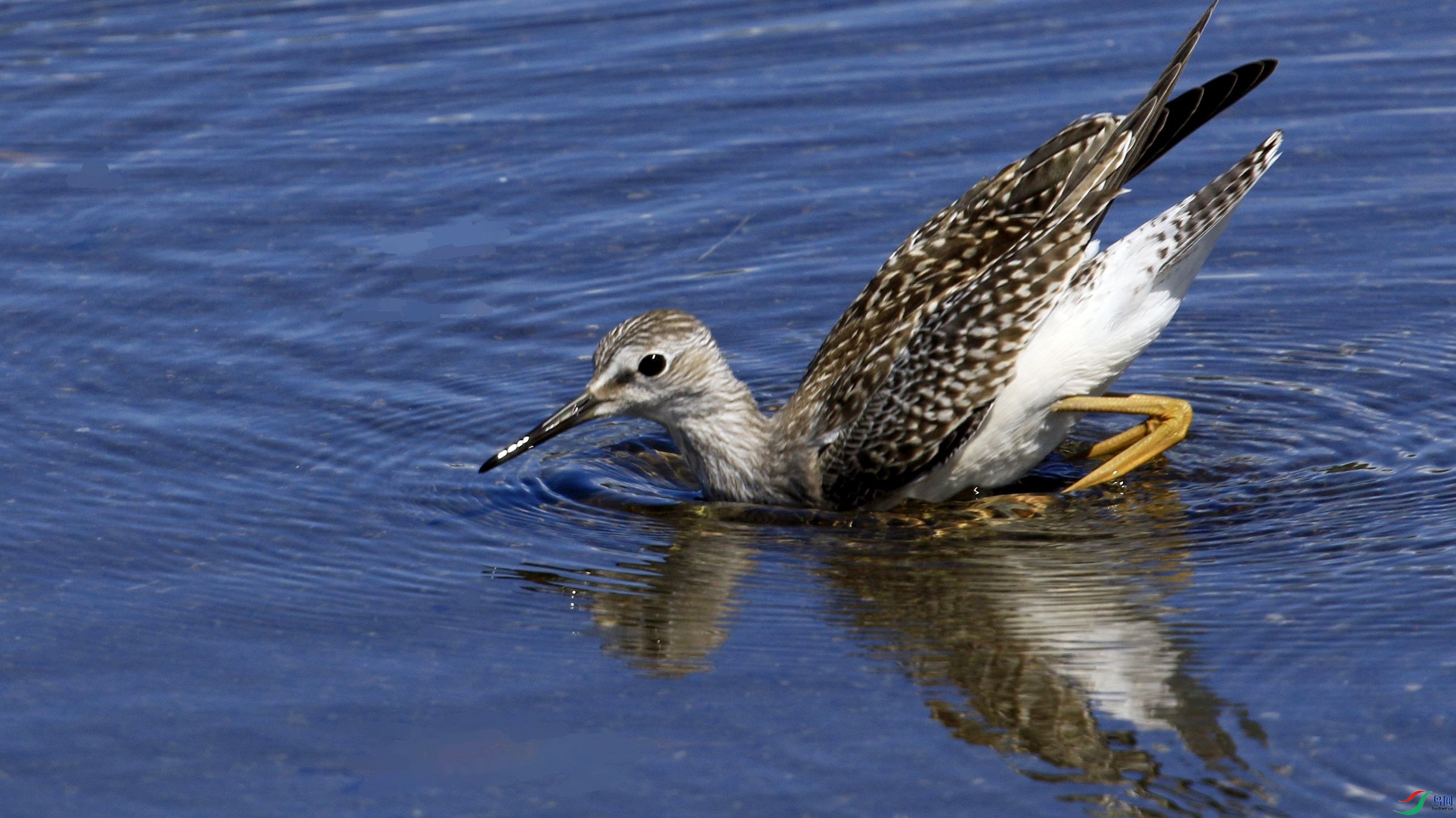 С�ƽ��� 02.jpg