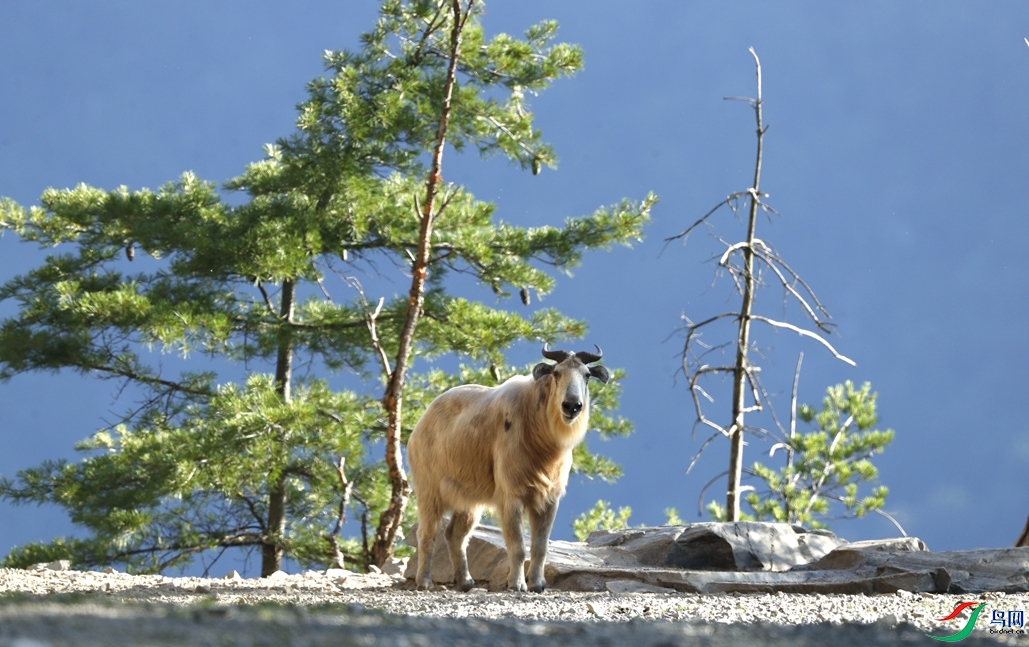 _F2I5617_����.jpg