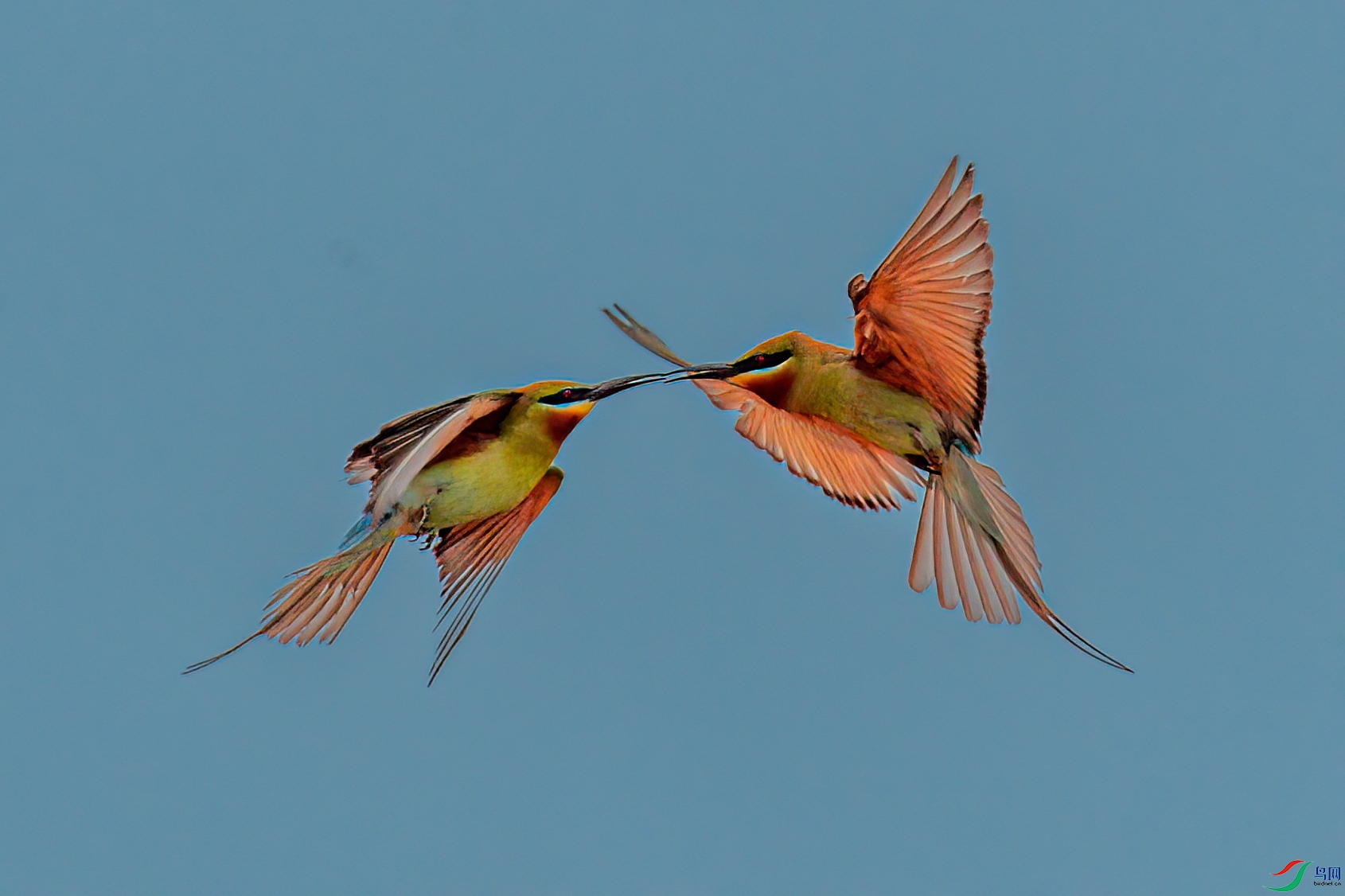DSC_0398.jpg