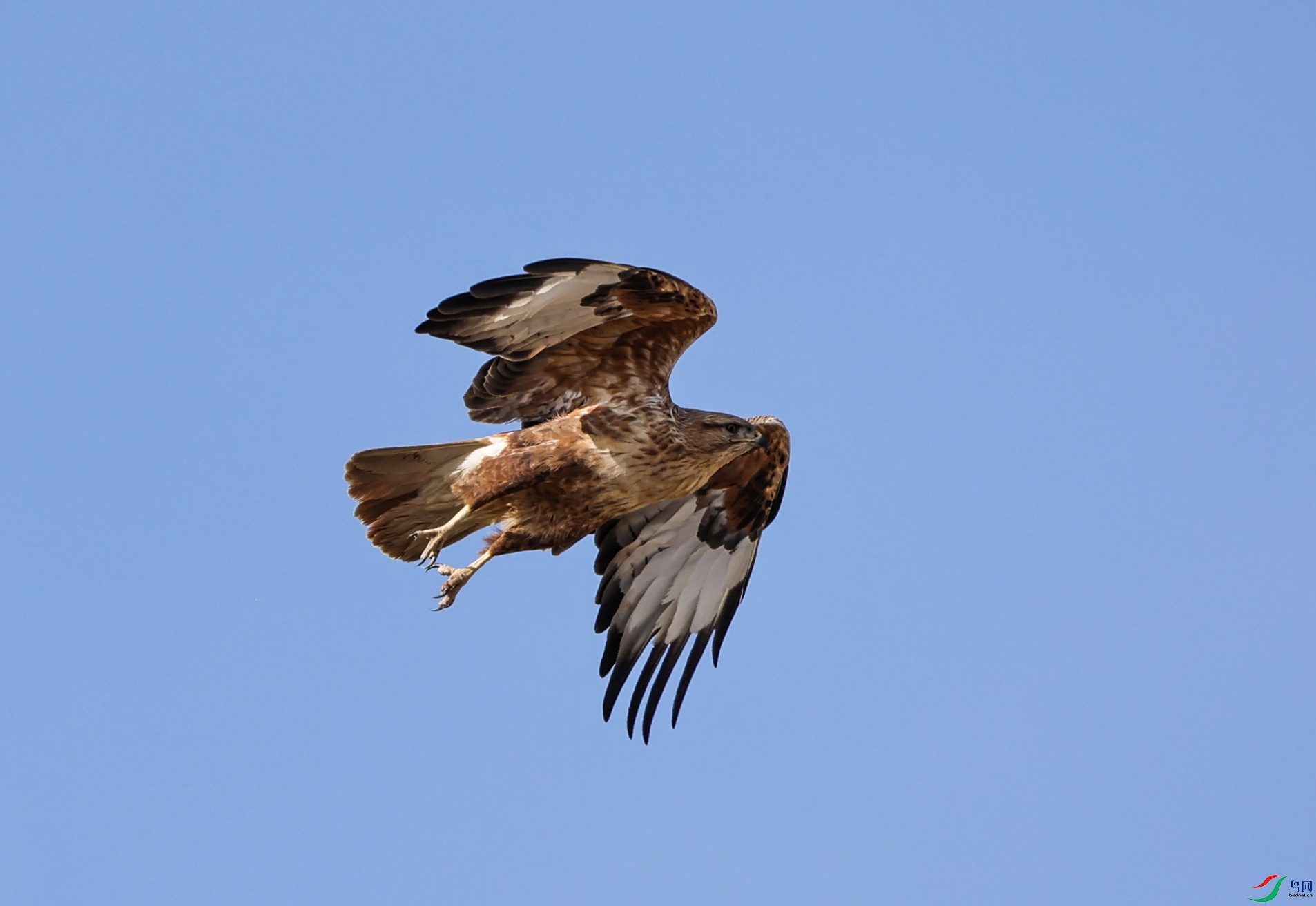 7X5A7848 - ����.JPG