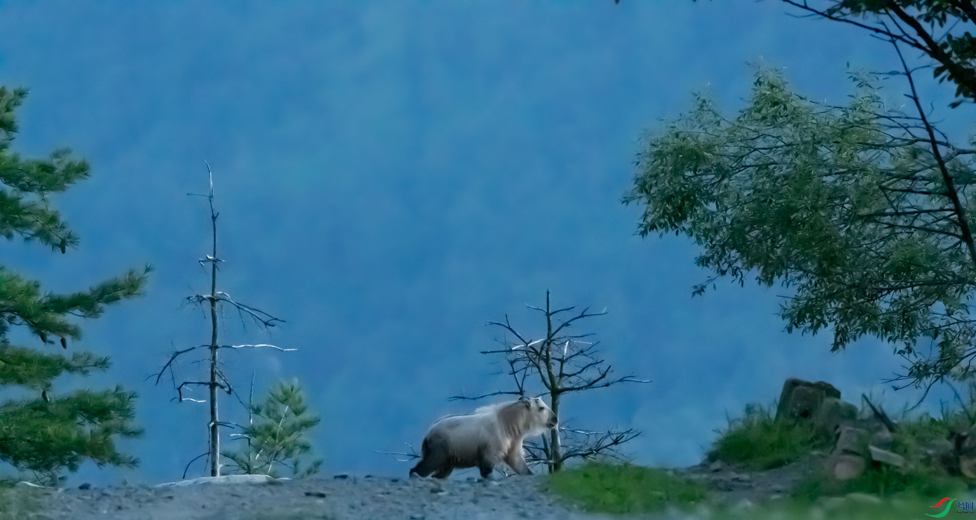΢��ͼƬ_20230819204723.jpg