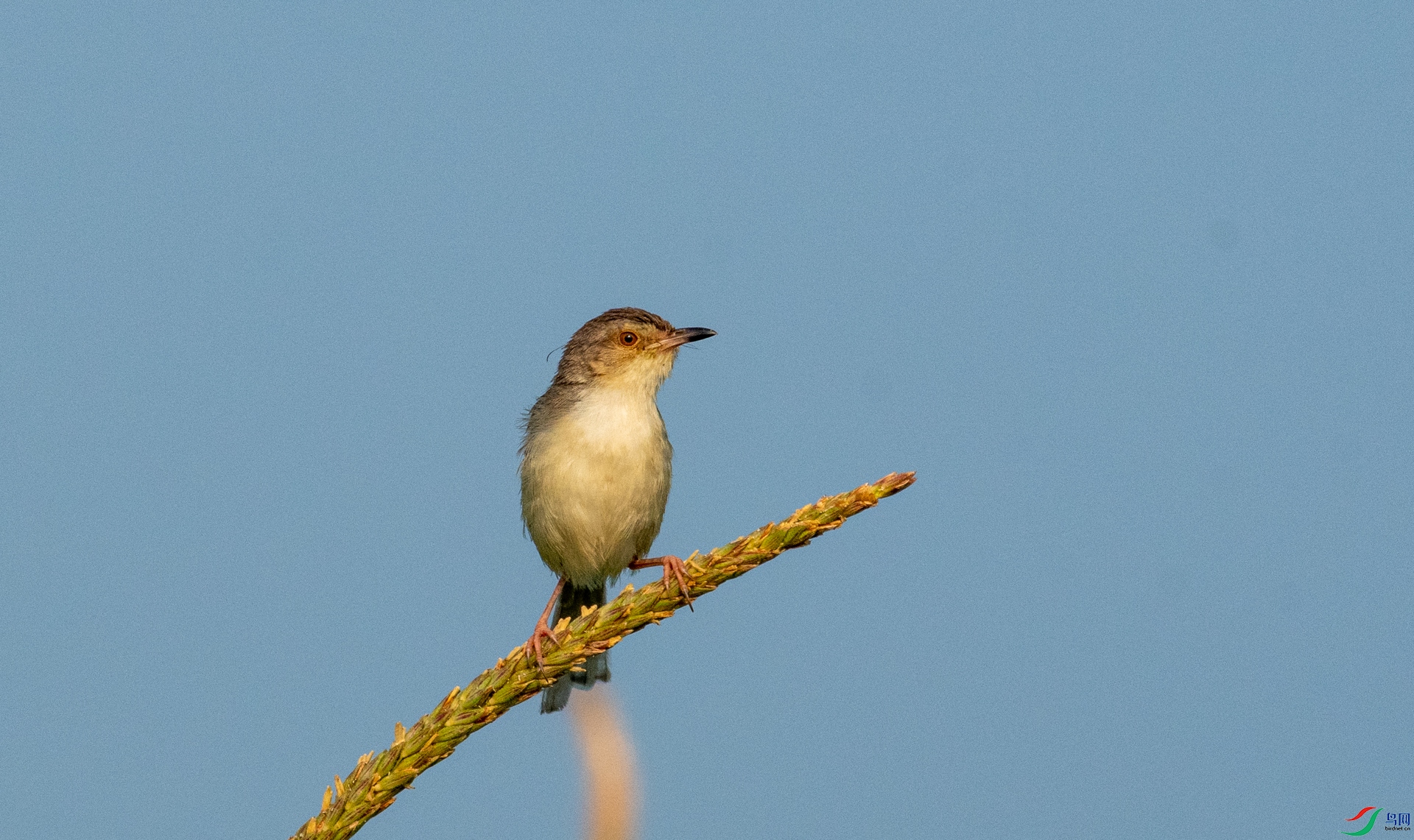 DSC_4699.jpg