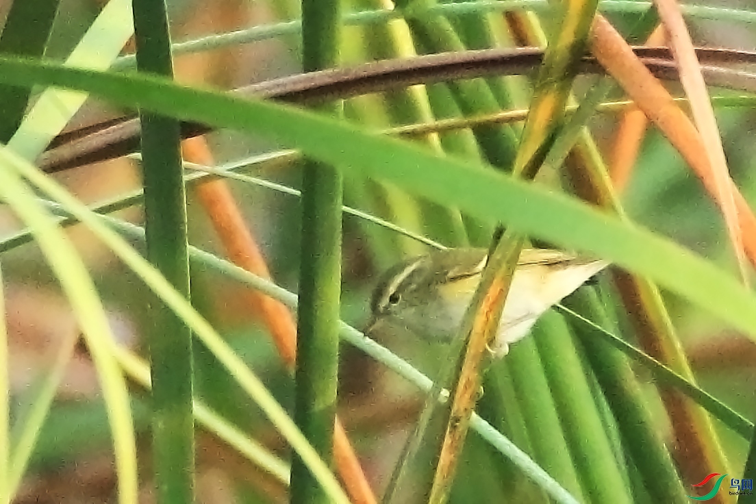 2F4A2786.JPG