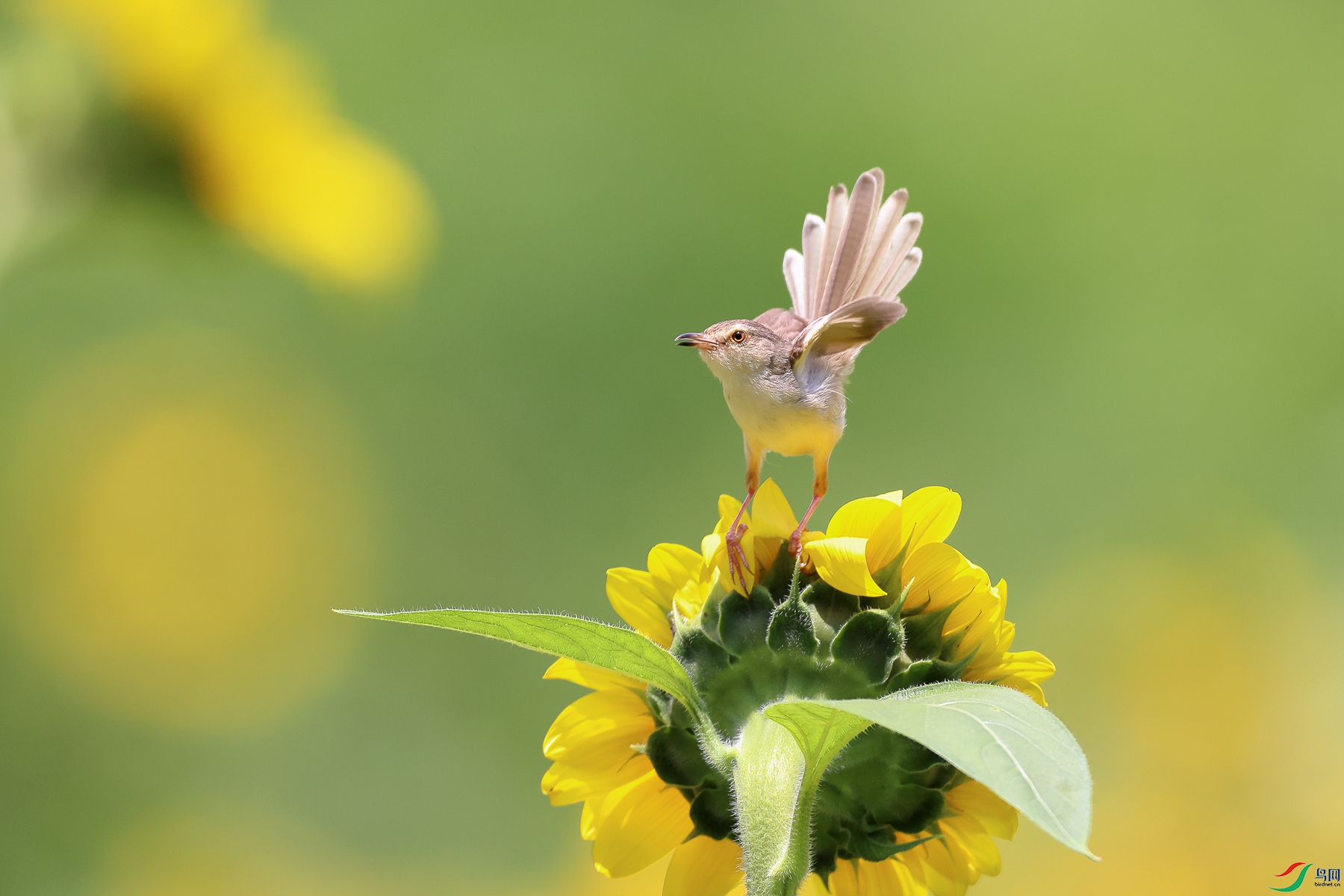 1M6A1586 ����_����.jpg