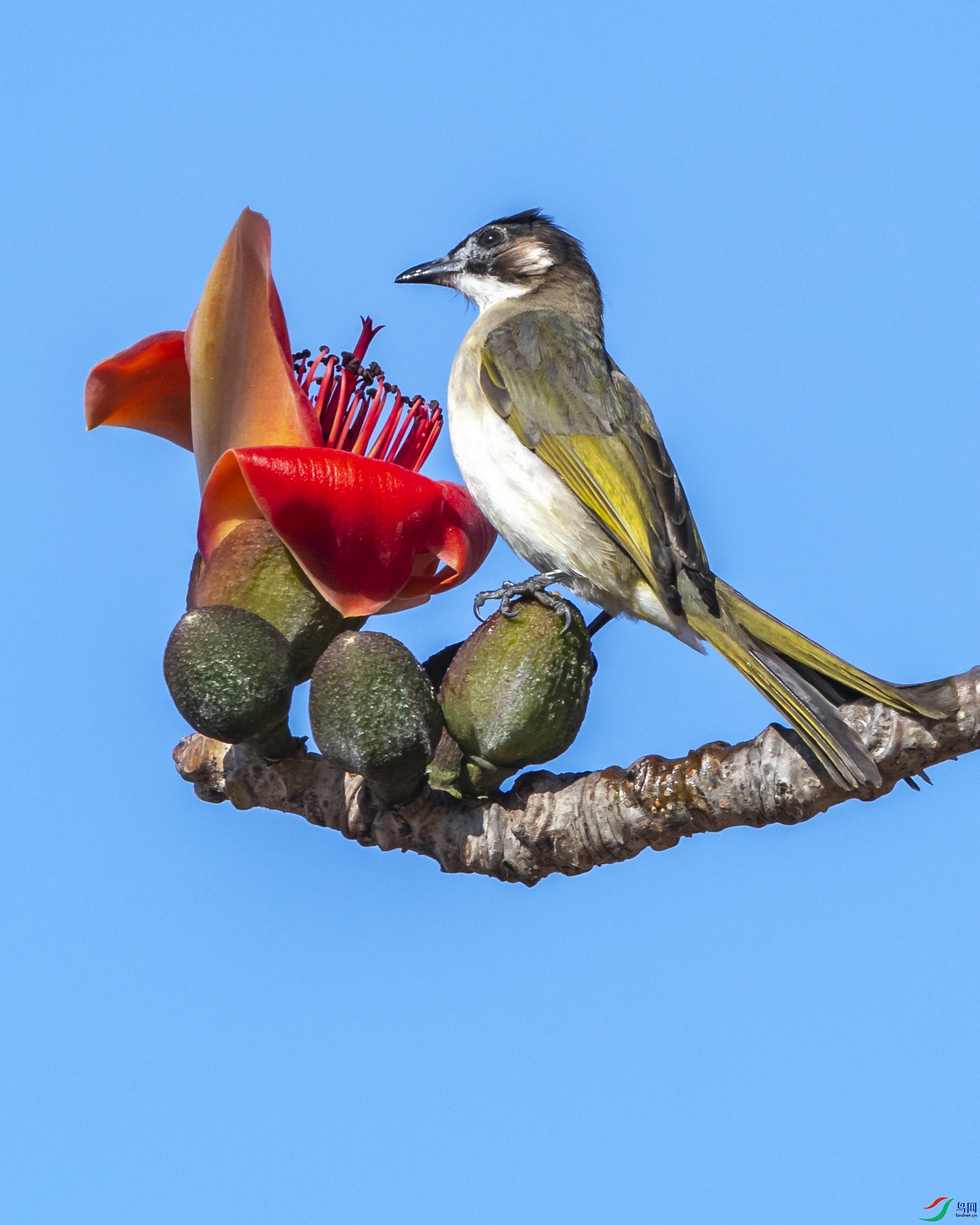 2753 ����.jpg