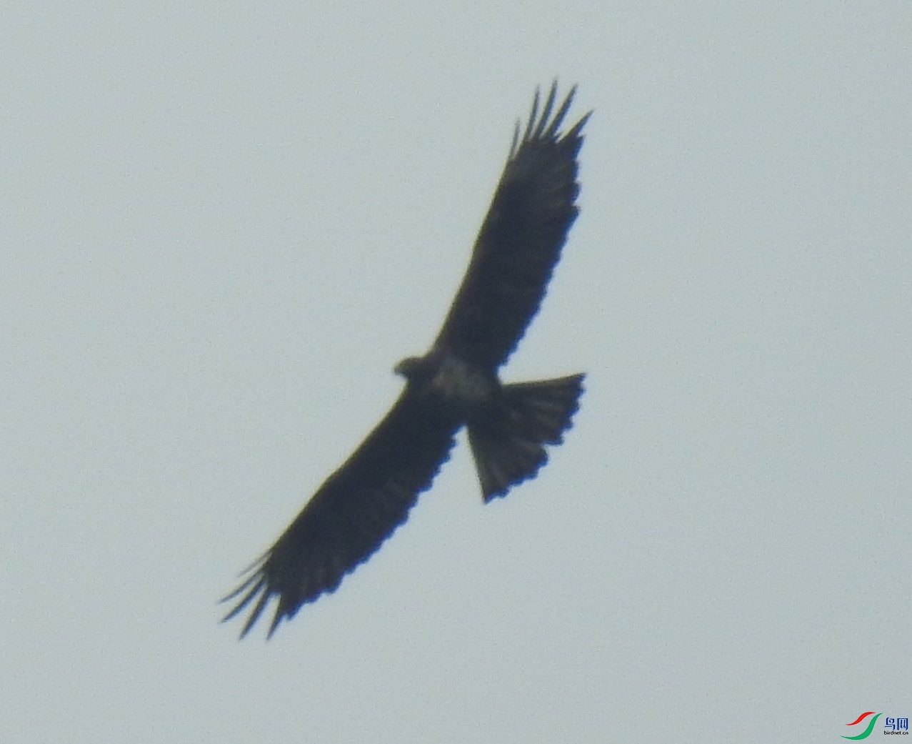 DSCN6740.JPG