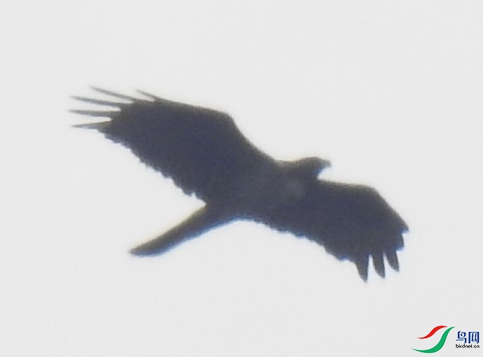 DSCN6731.JPG