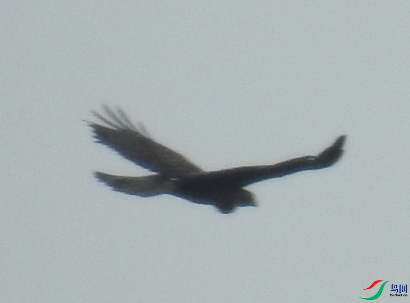 DSCN6729.JPG