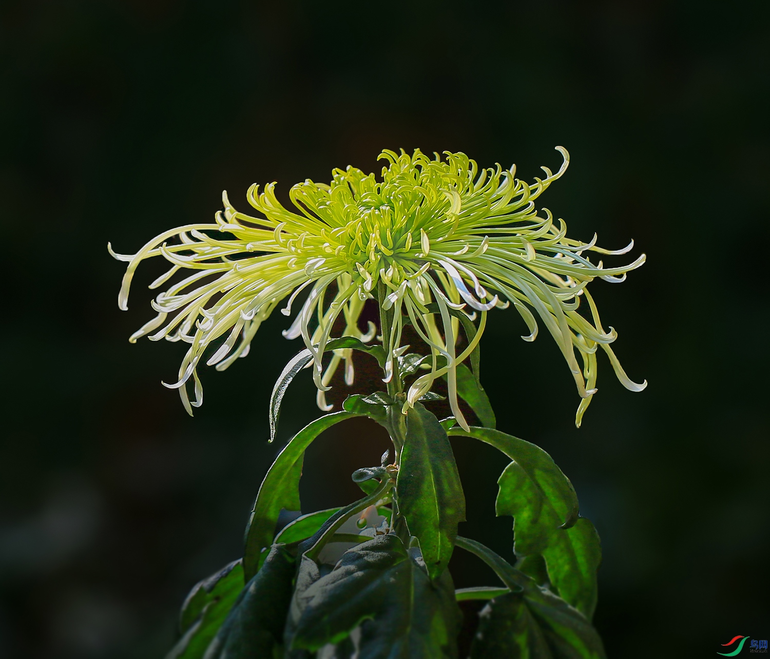 00000IMG_0859 �̺����� 1000k.jpg