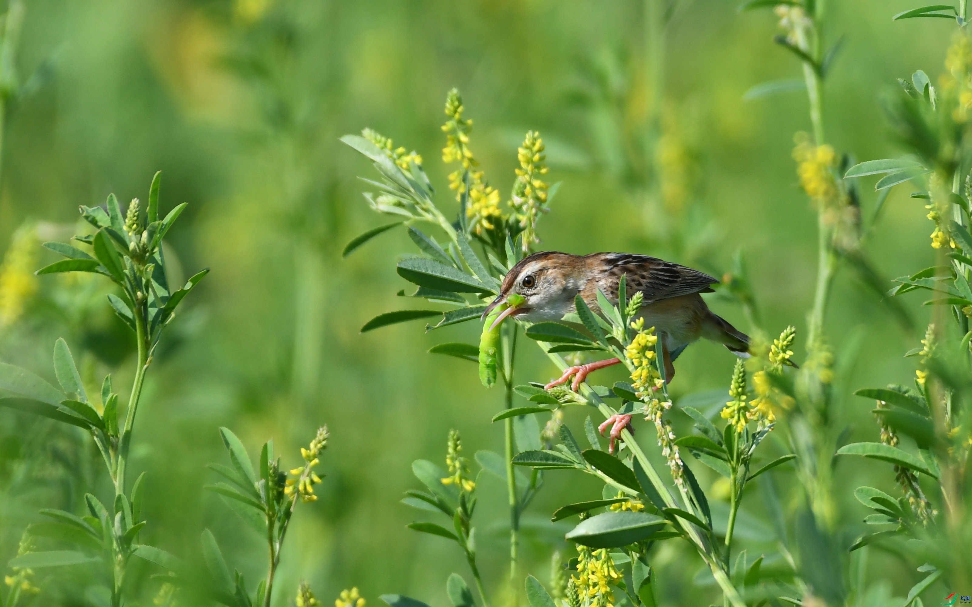 DSC_3773.JPG
