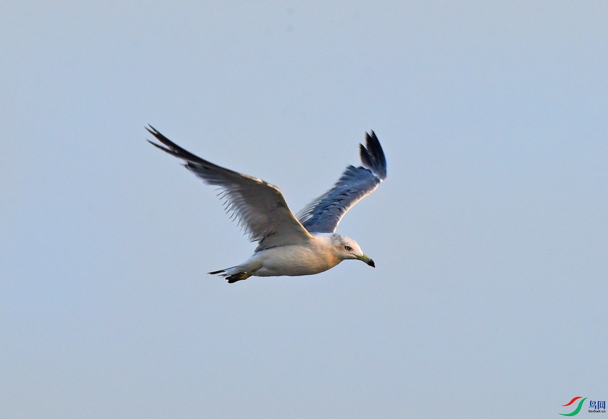 DSC_4606.jpg