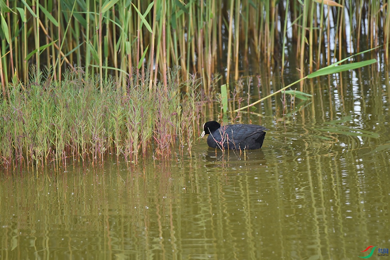 DSC_3003.jpg