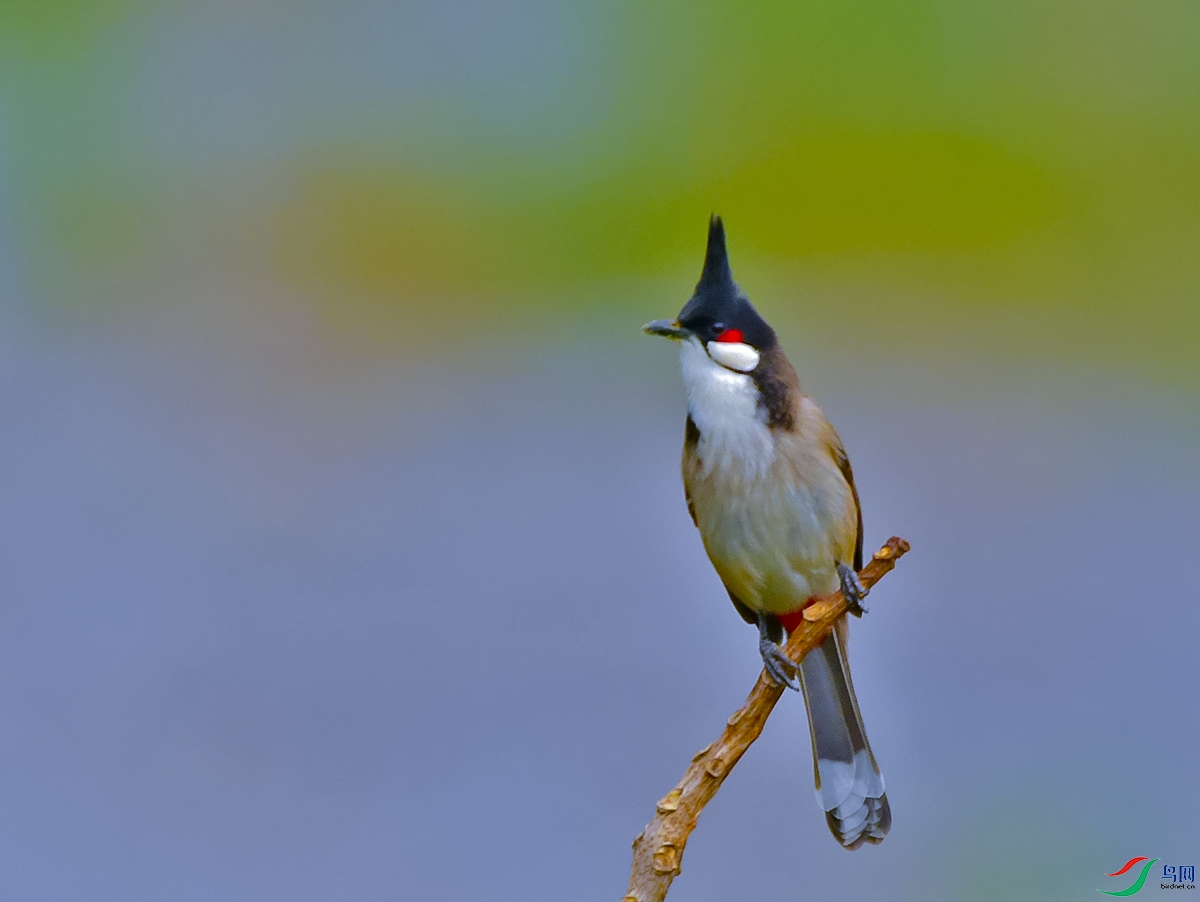 DSC_8616.JPG