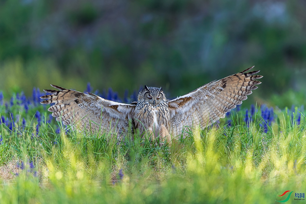 lnsysjtR230603 (205)_DxO.jpg