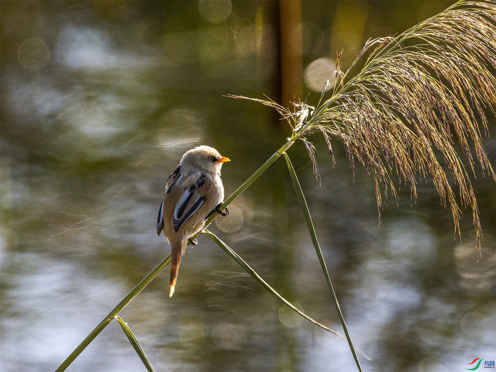 1K3A7771 ����1.jpg