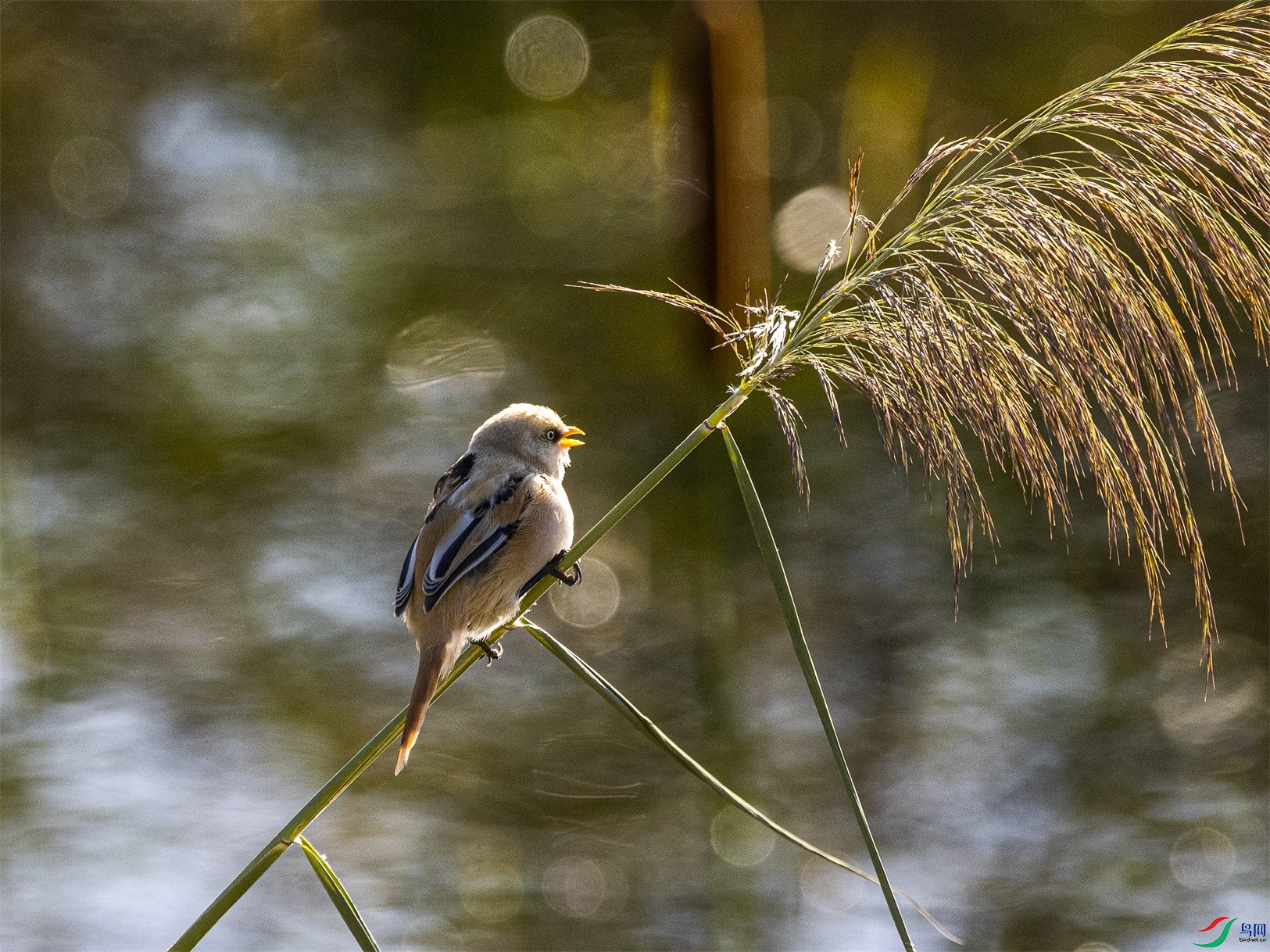 1K3A7773 ����1.jpg