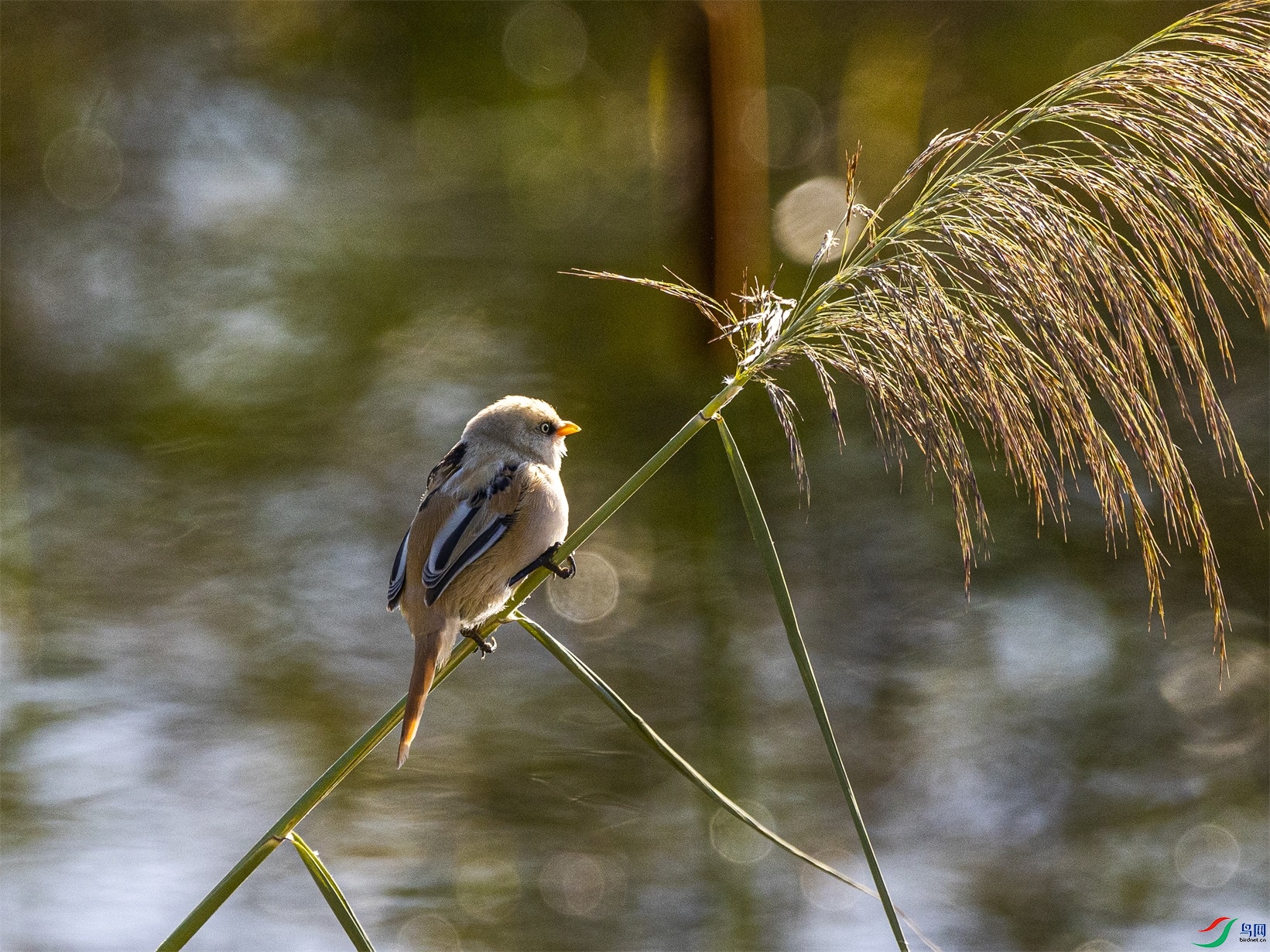 1K3A7775 ����1.jpg