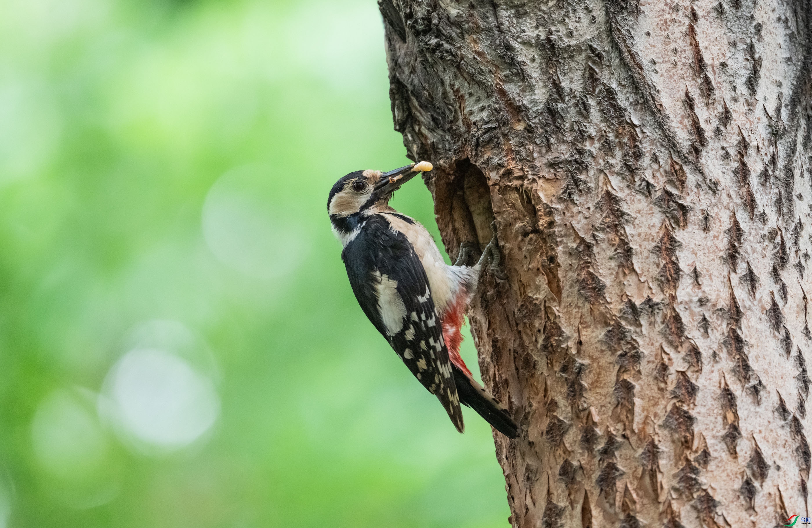 �����ľ��