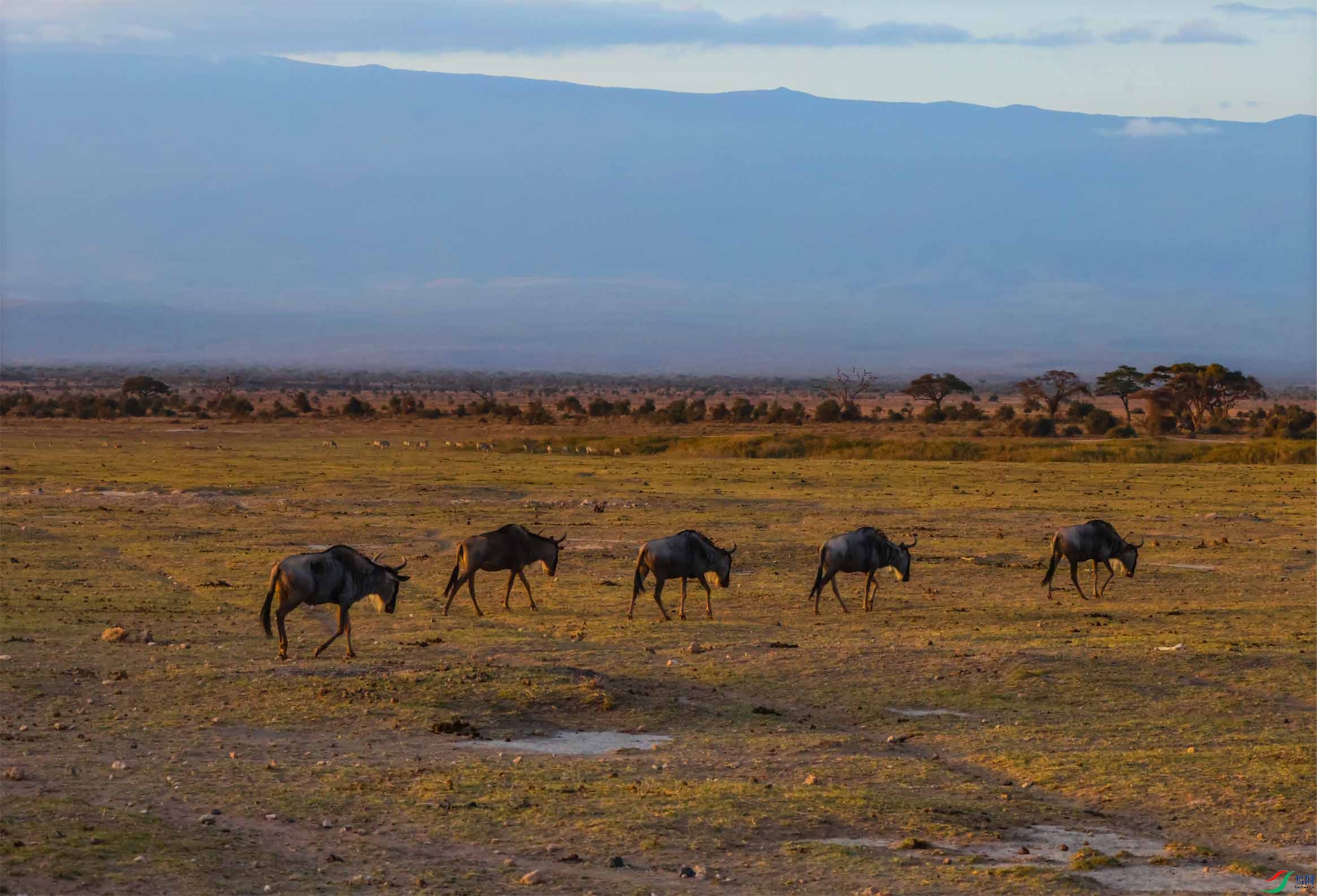 �����������糿261 ����.jpg