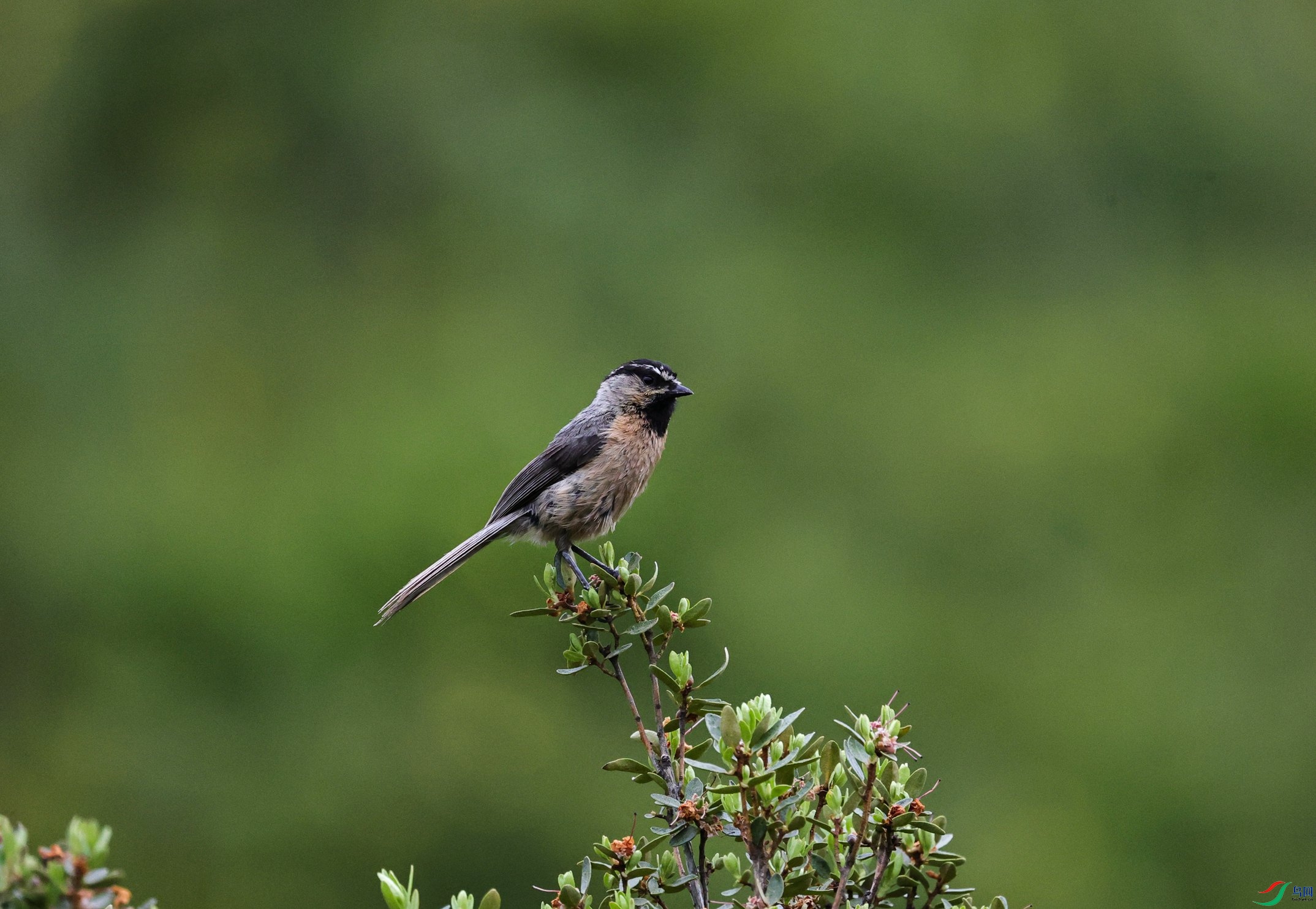 ��üɽȸ - ����.JPG