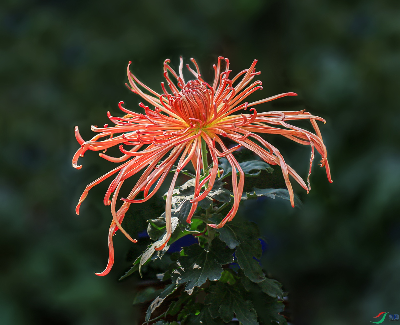 001595832IMG_0861 �����Ժ� 1000k.jpg