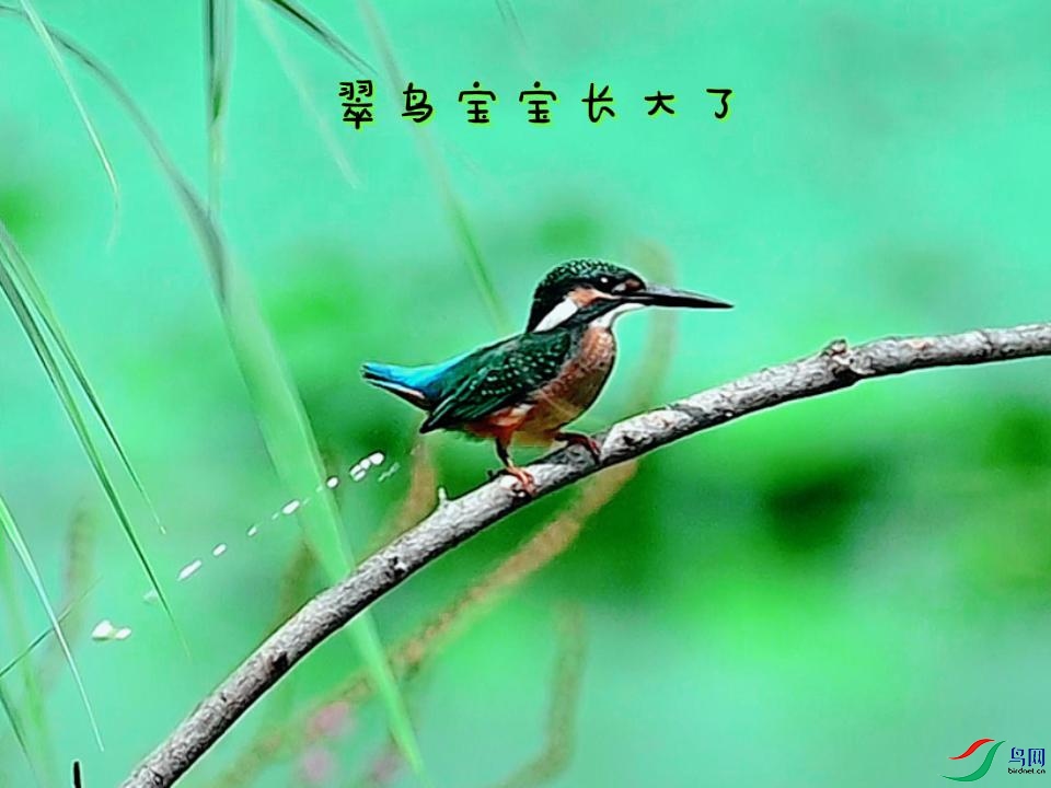 ���񱦱�������