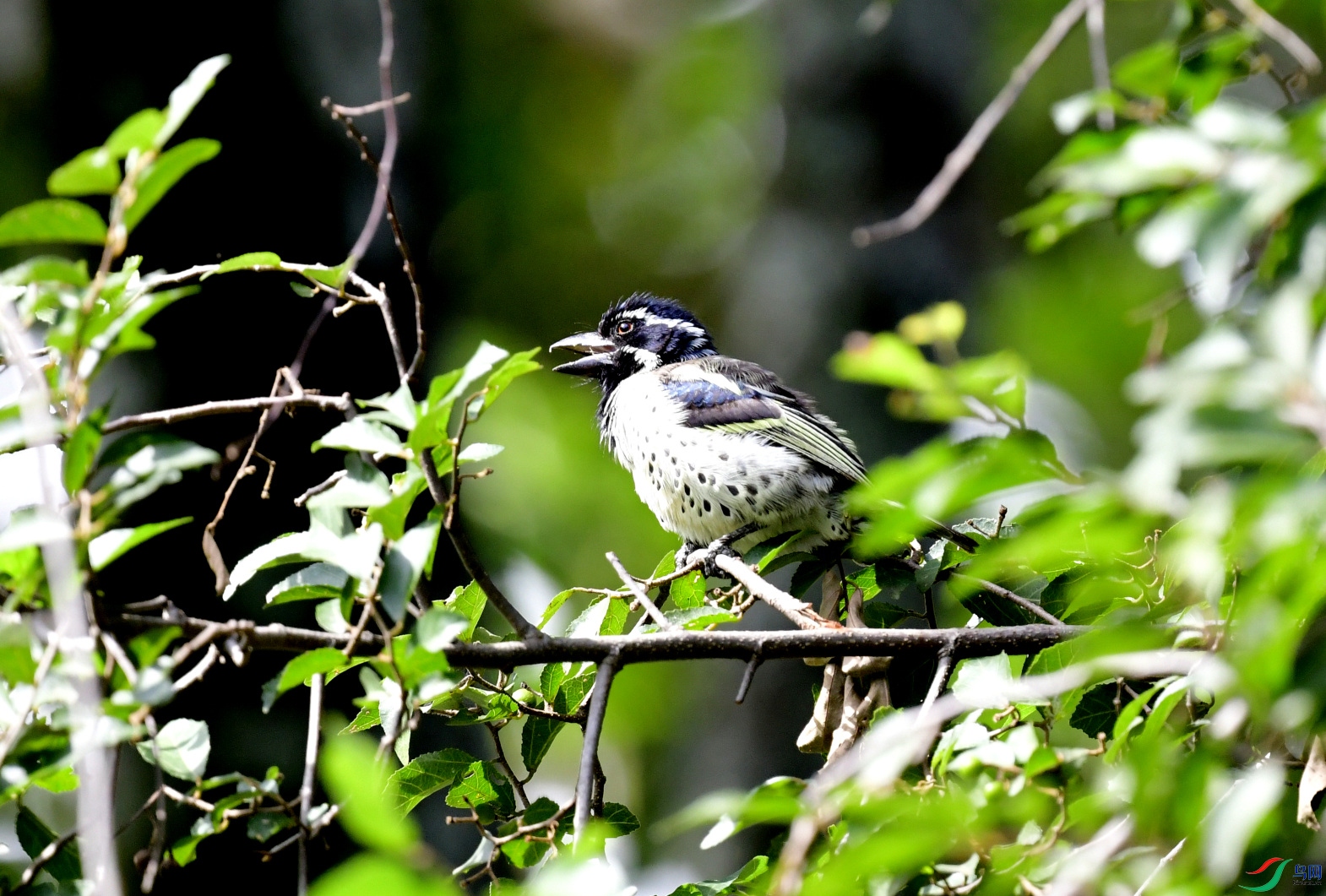 _DSC2458_01_01.JPG