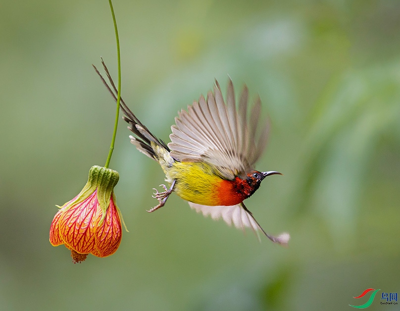 3V6A2052 ����.jpg