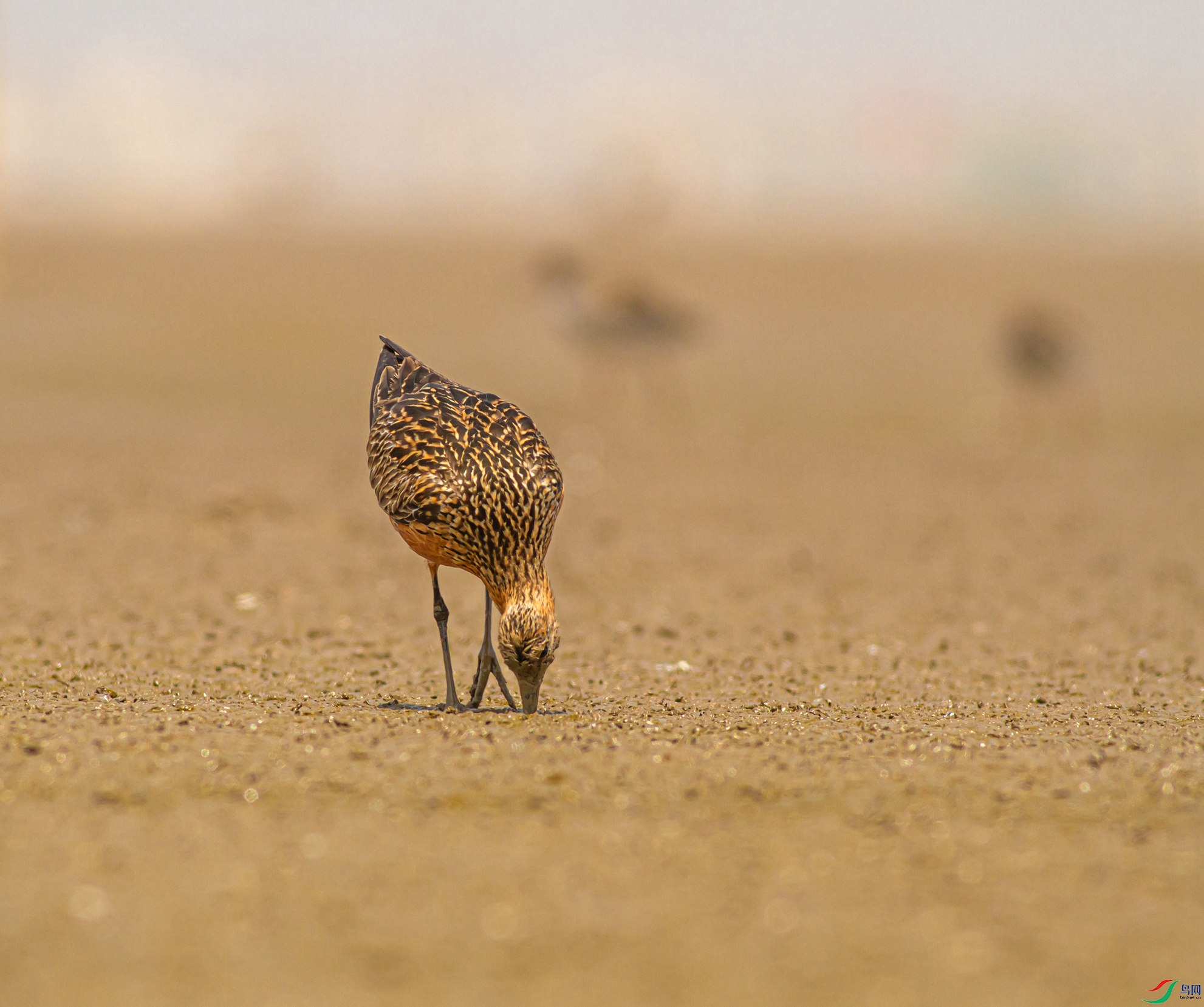 ������ (10)_����.jpg