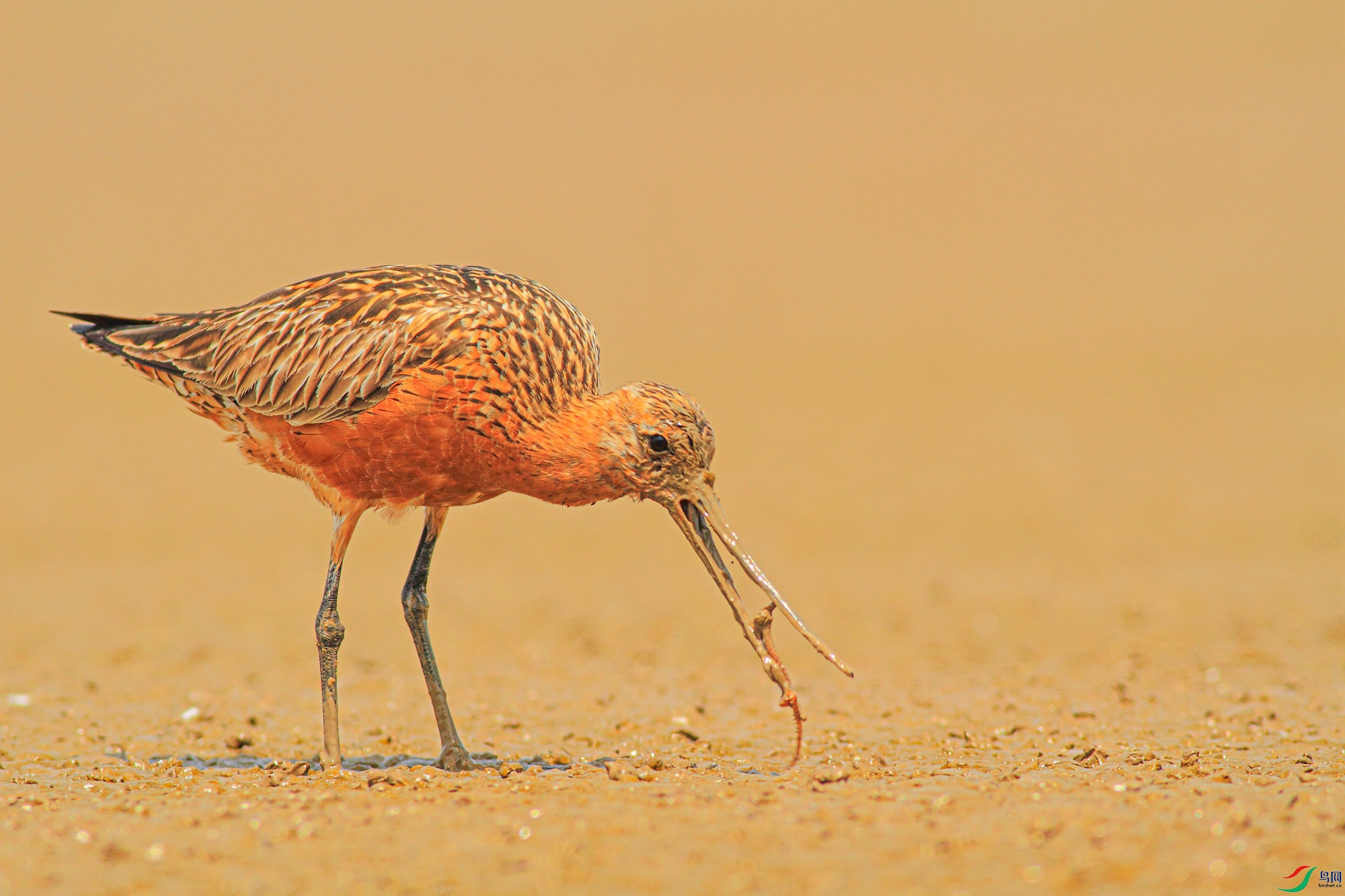 ������ (5)_����.jpg