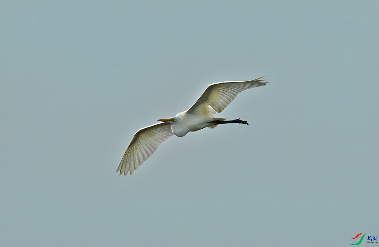 DSC_1939.jpg