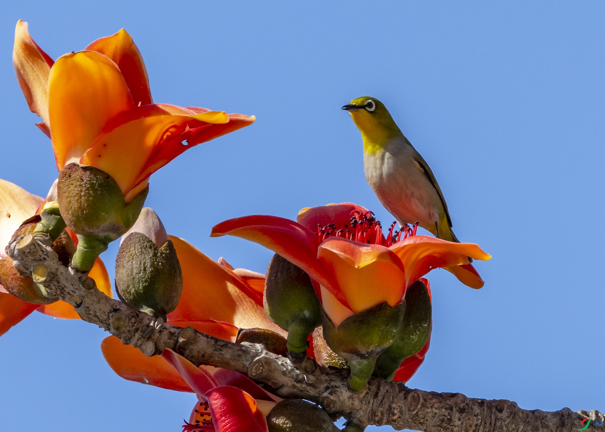 3887 ����.jpg