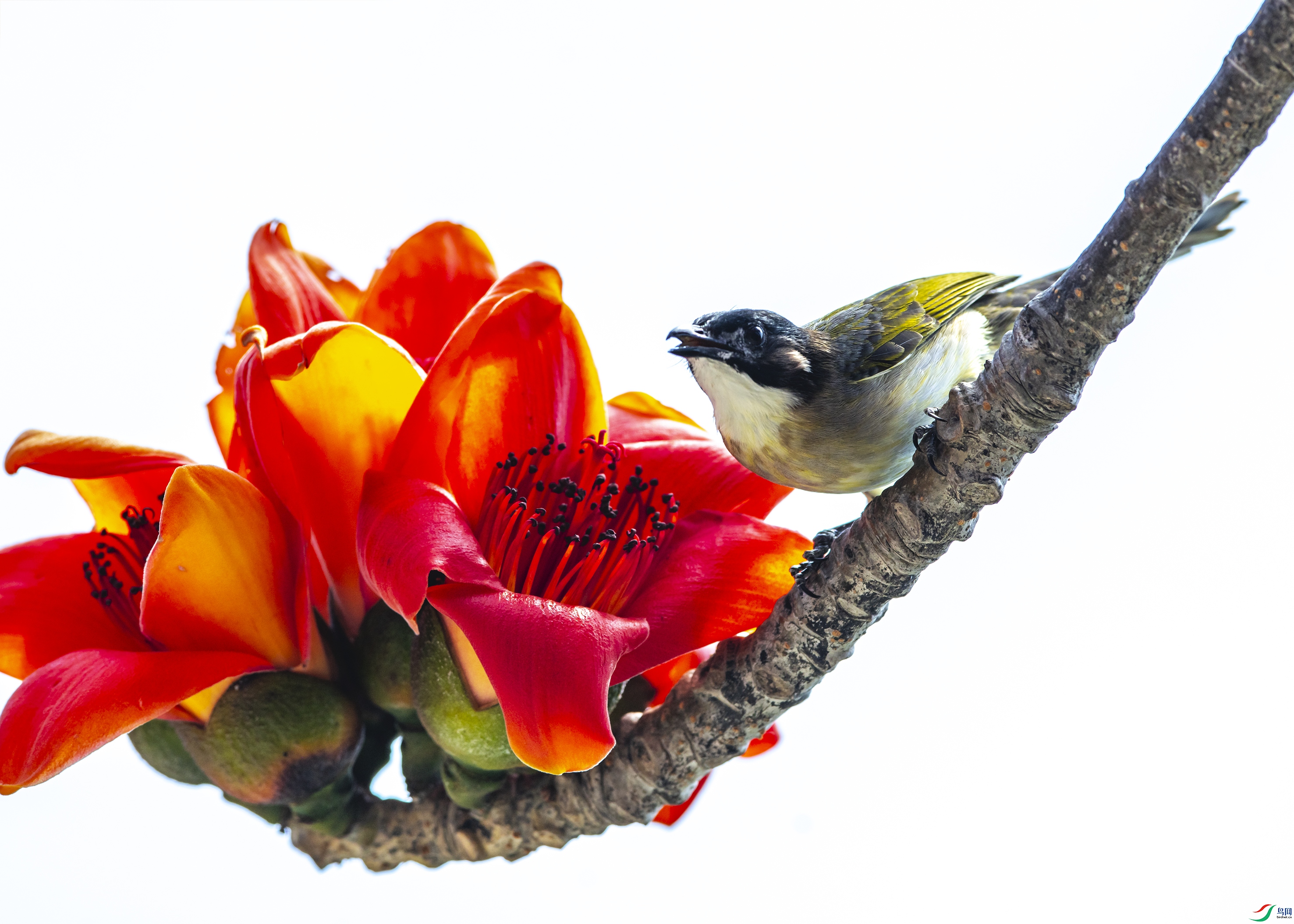 4369 ����.jpg