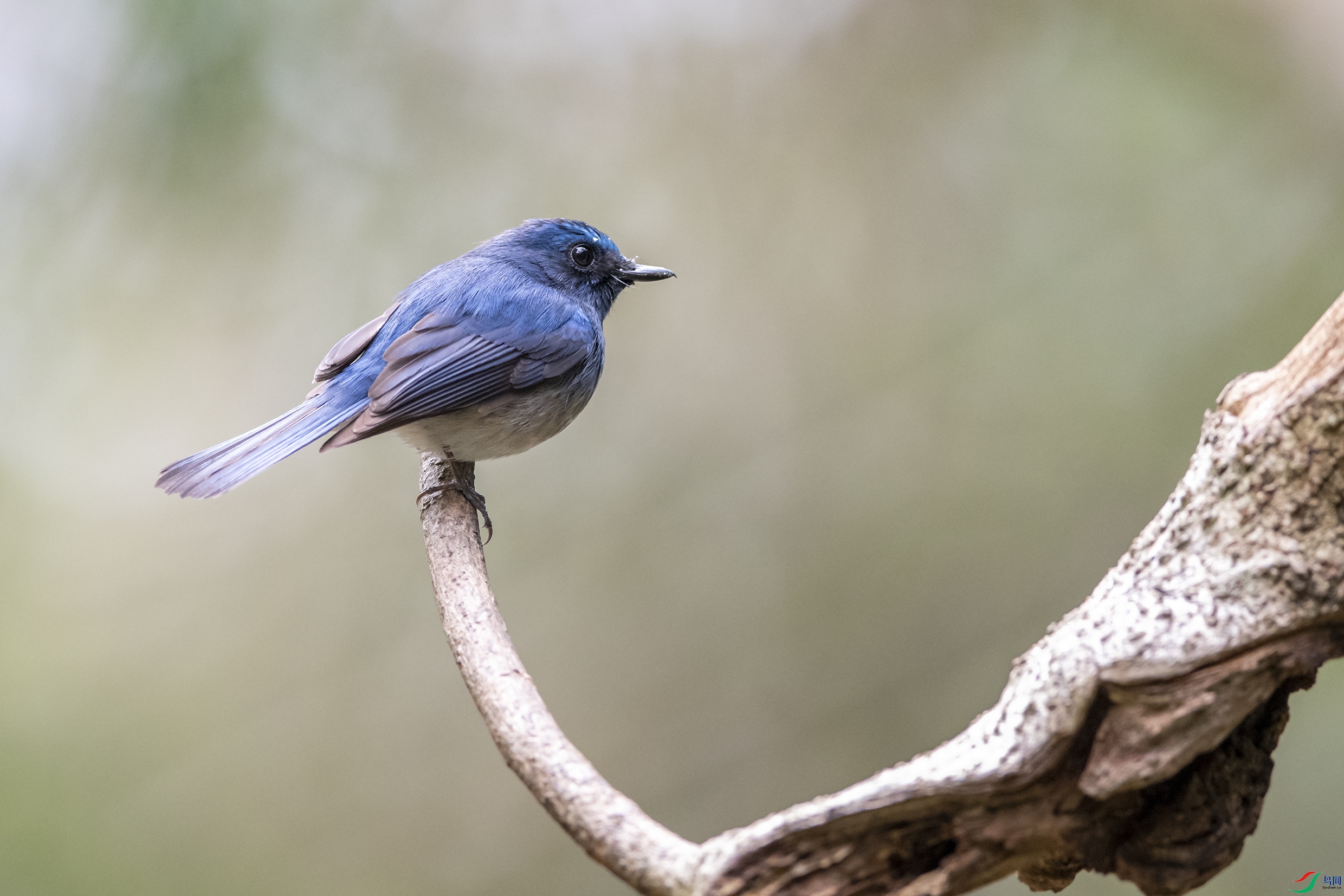 4788 ����.jpg