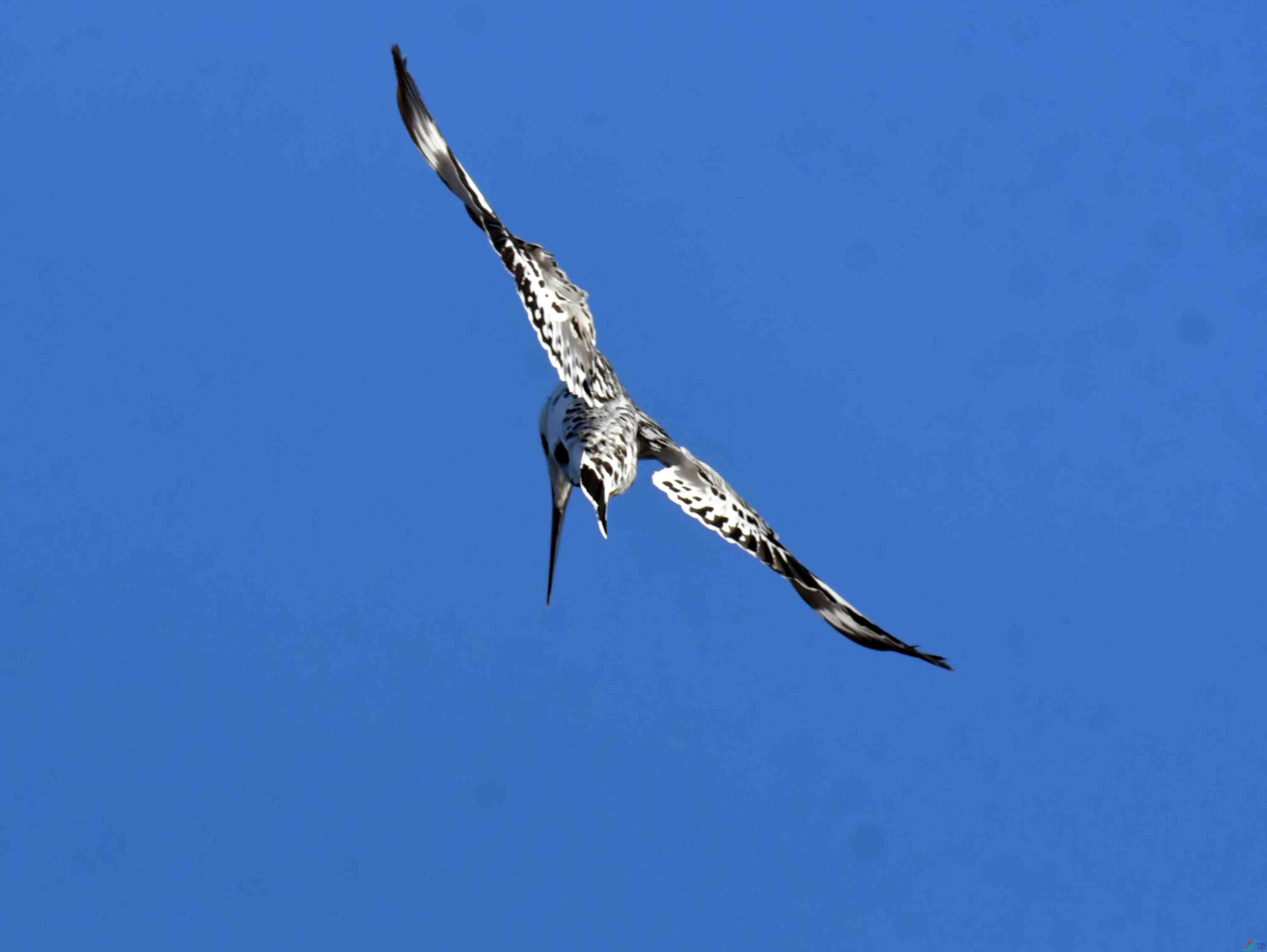 DSC_4030.JPG