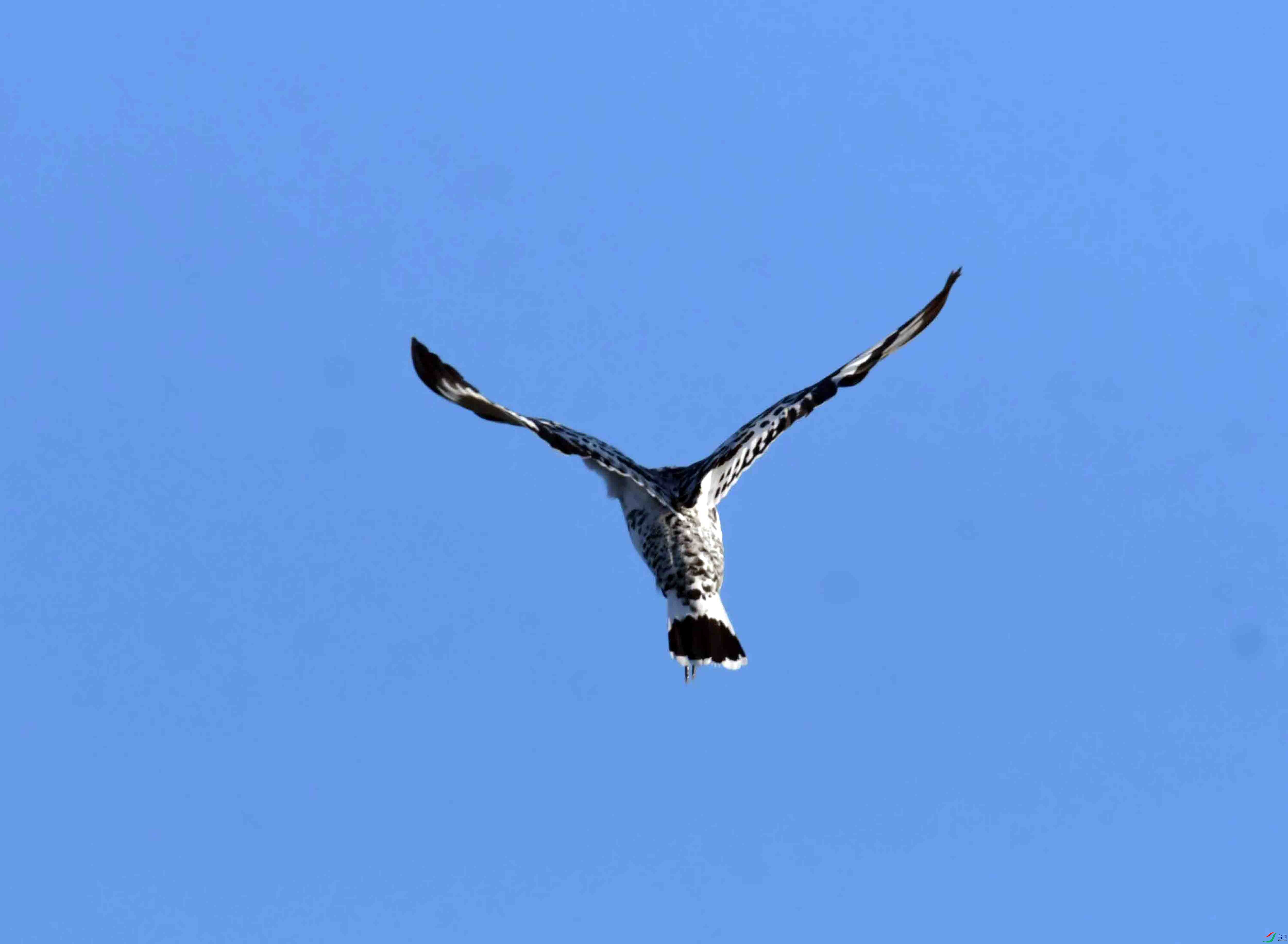 DSC_4056.JPG