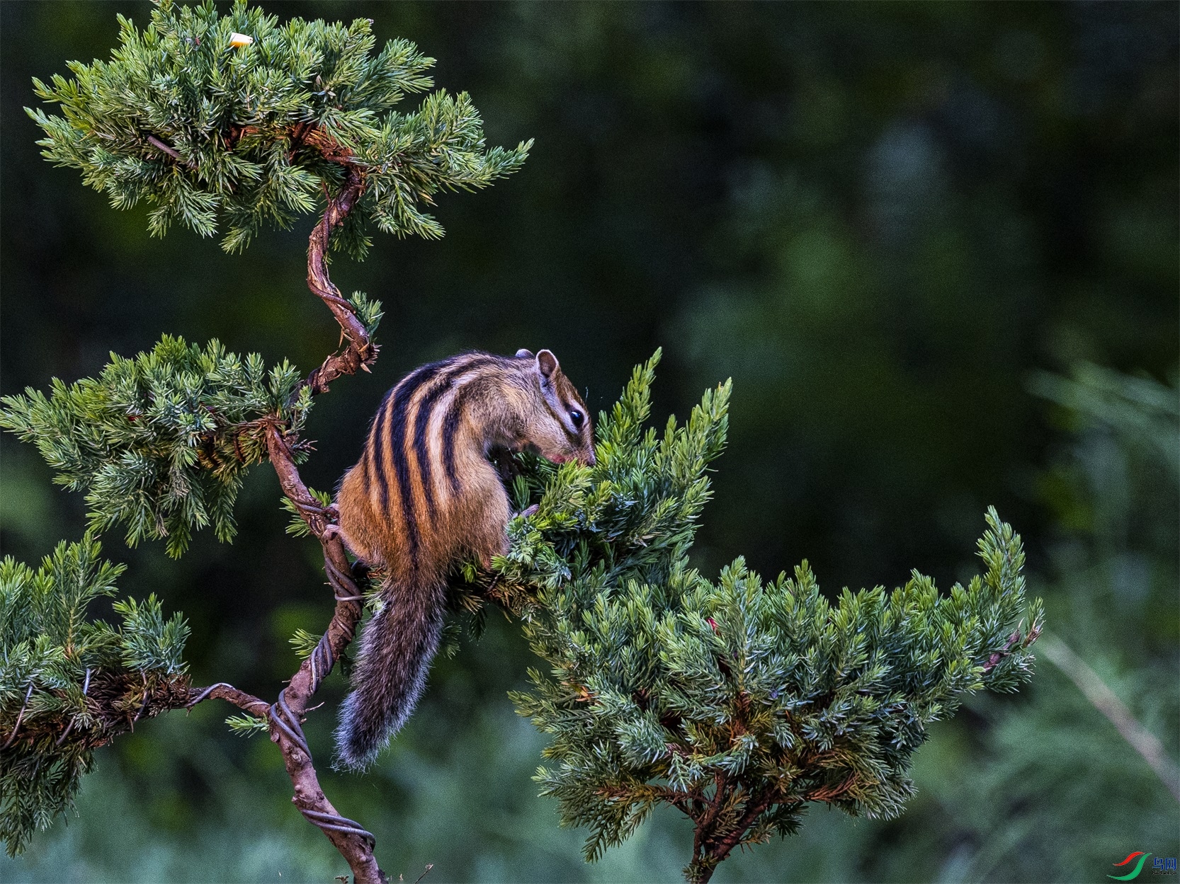 1K3A9148 ����1.jpg