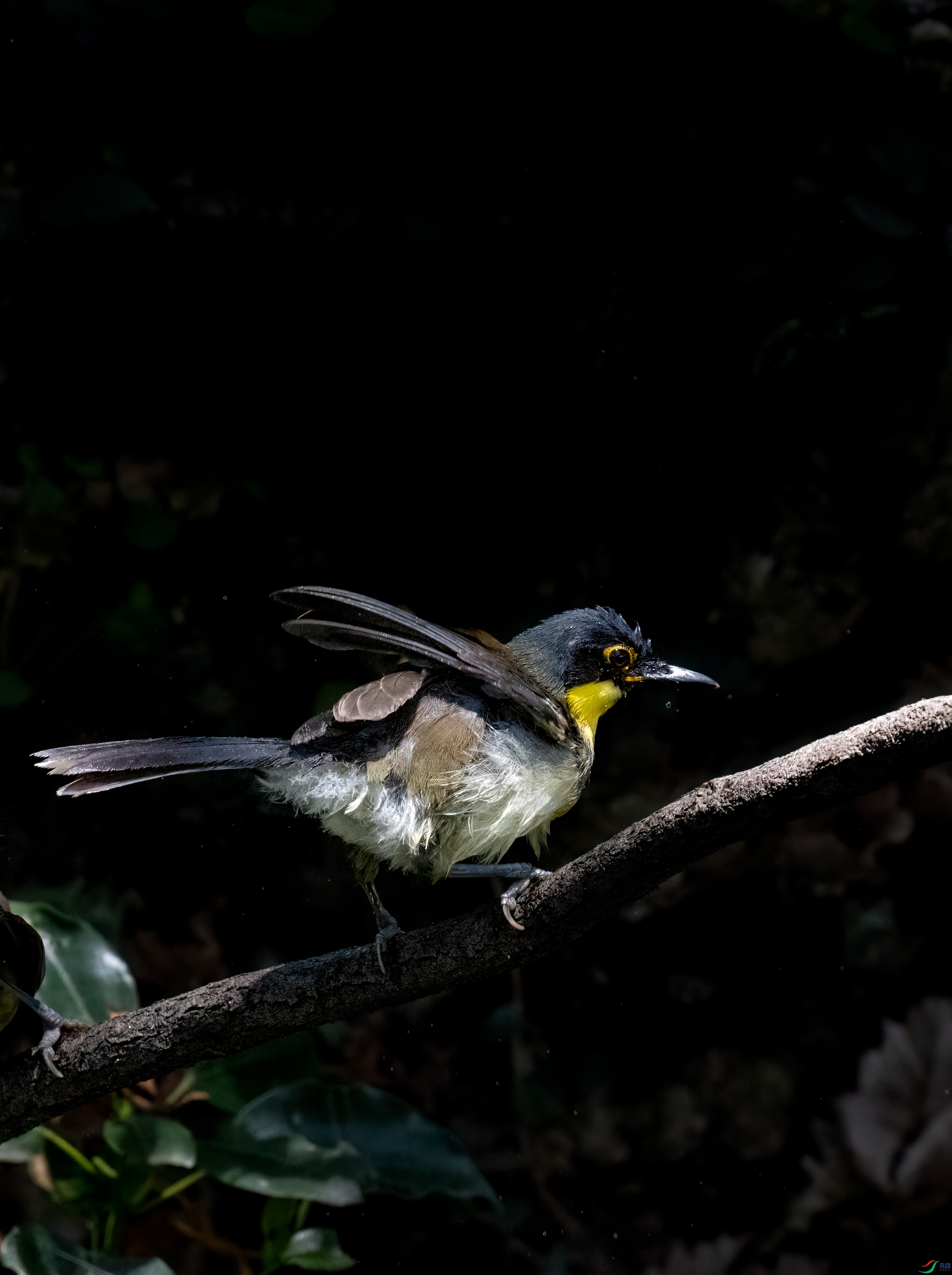 _DSC3553.jpg