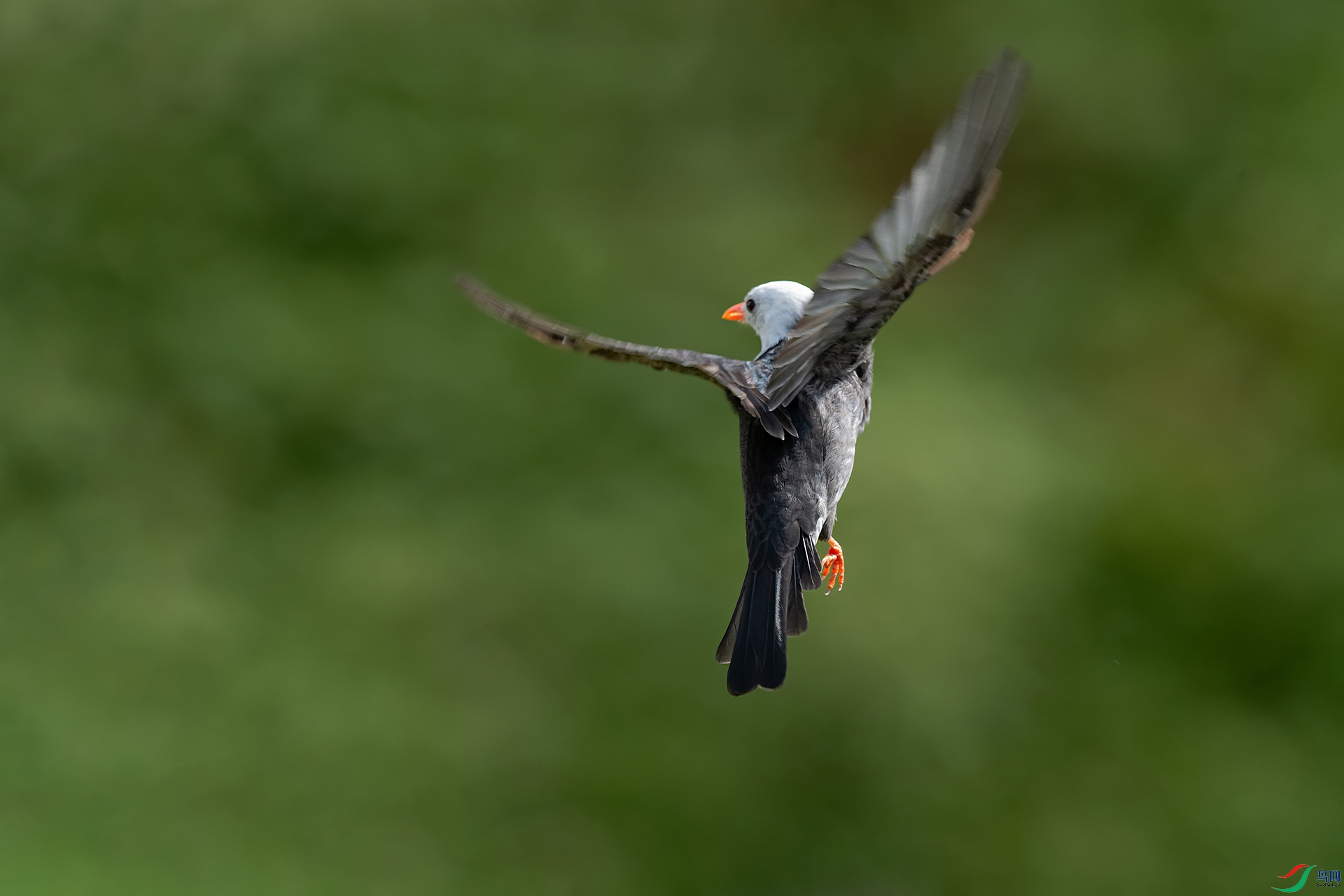 3DSC_6737_DxOa.jpg
