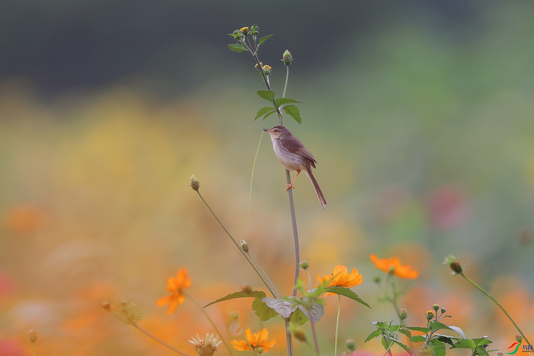 1M6A0781 ����_����.jpg