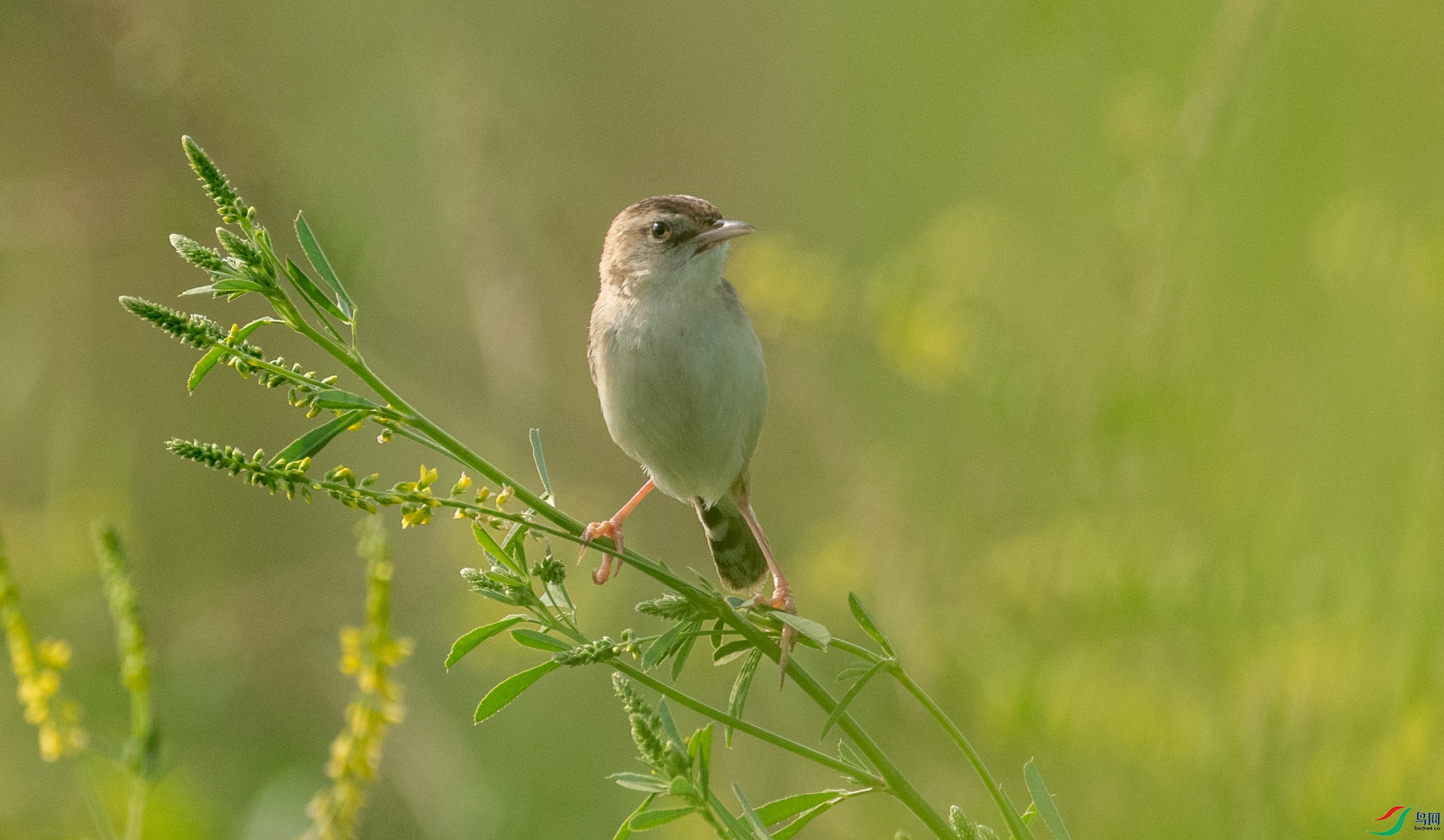 DSC_7367.jpg