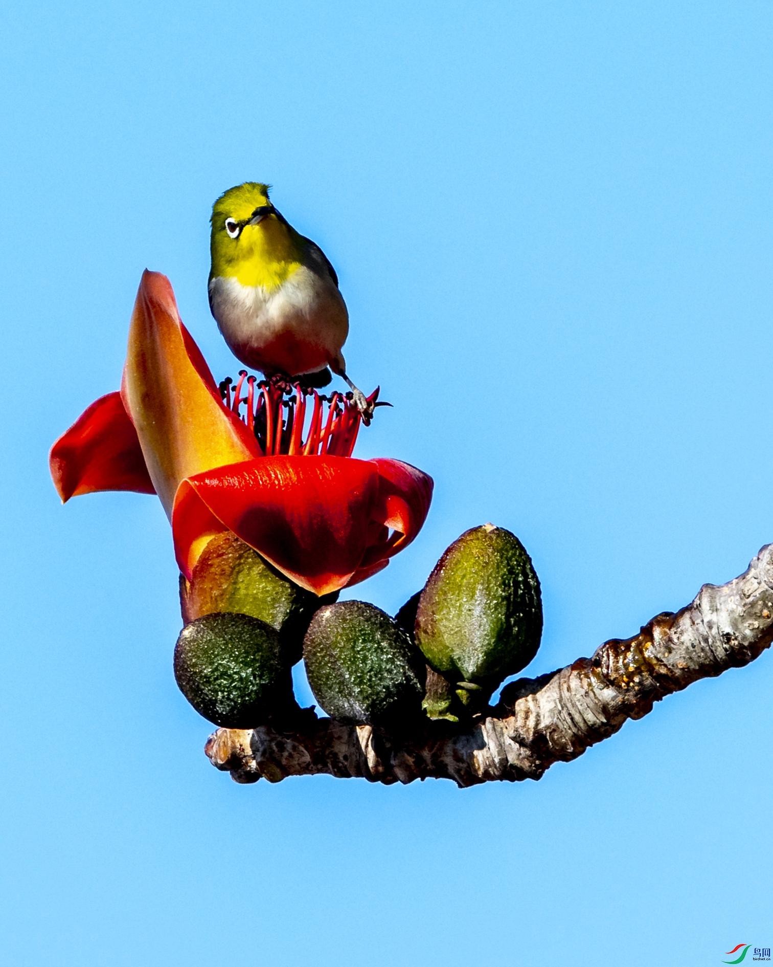 2833 ����.jpg