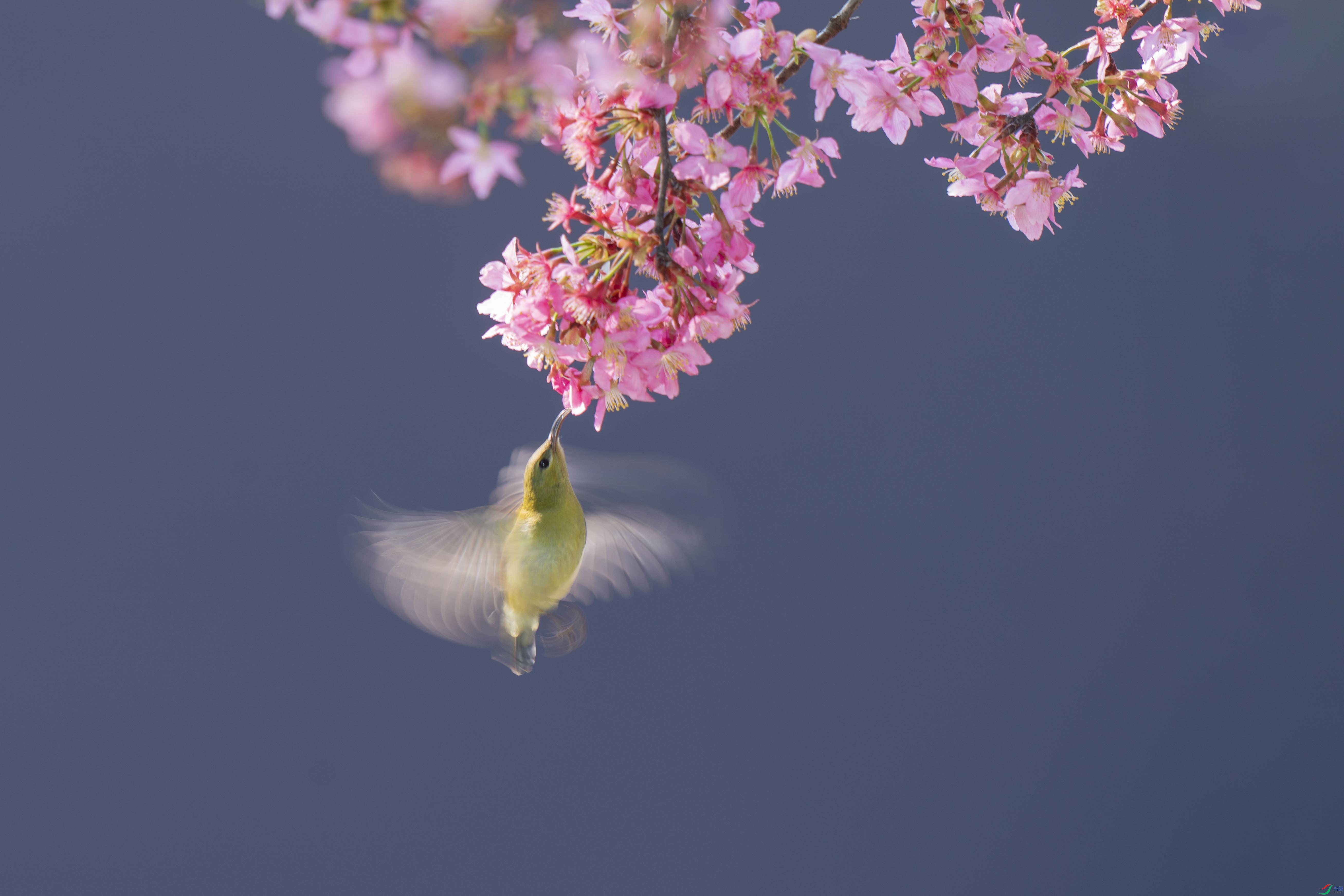 _ZZX2281 ���� 2.jpg