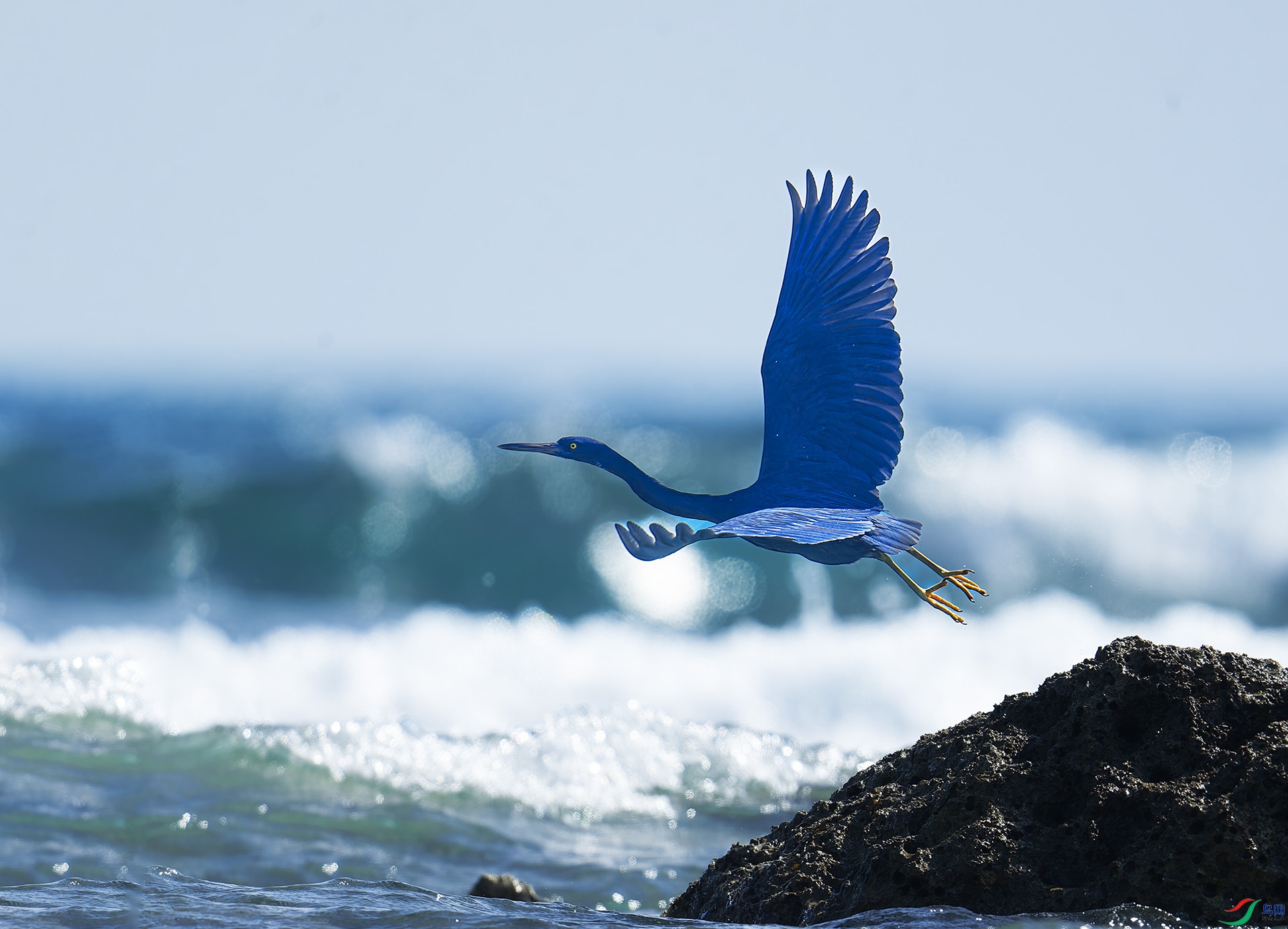 DSC_2418 -1.jpg