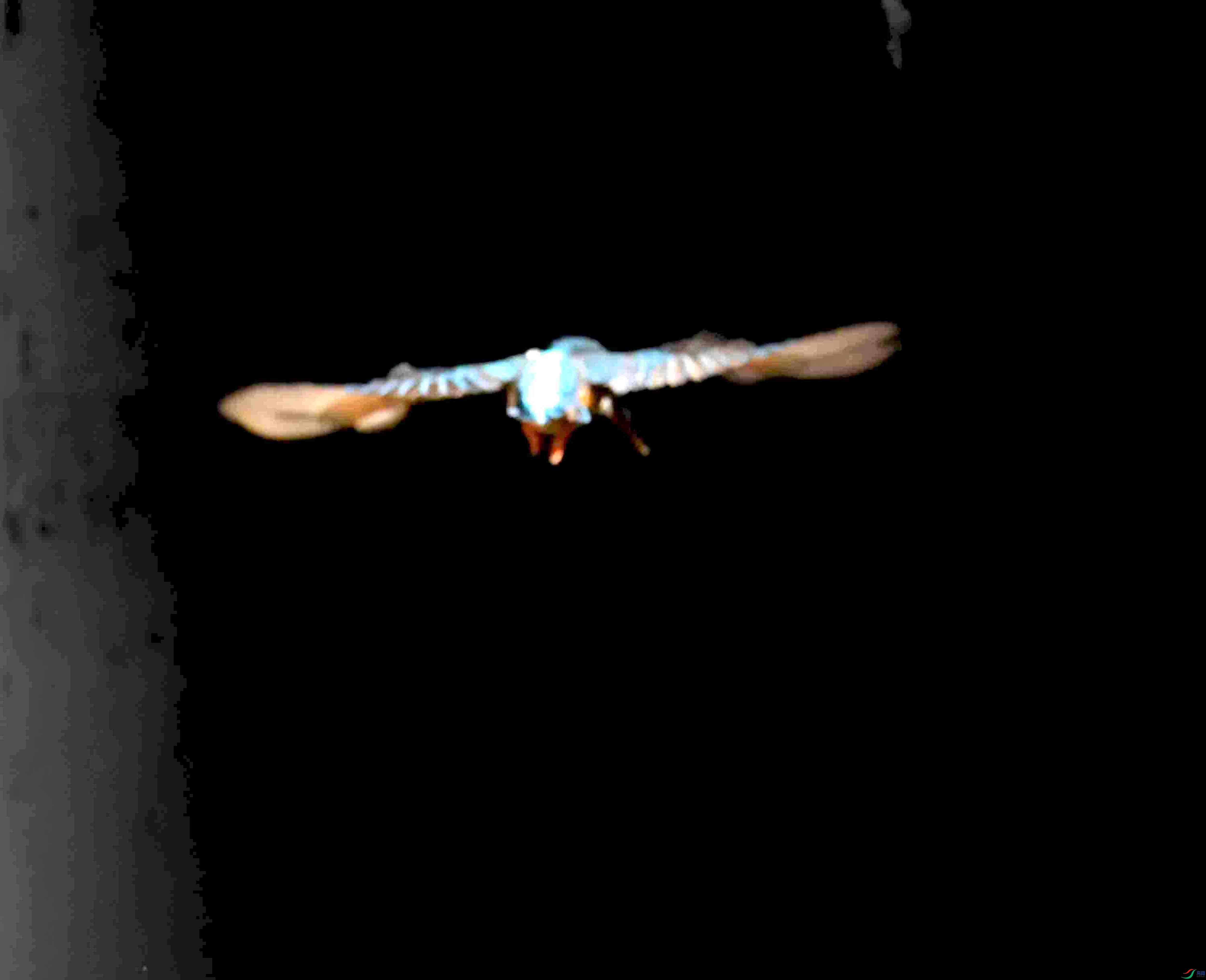 DSC_2915.JPG