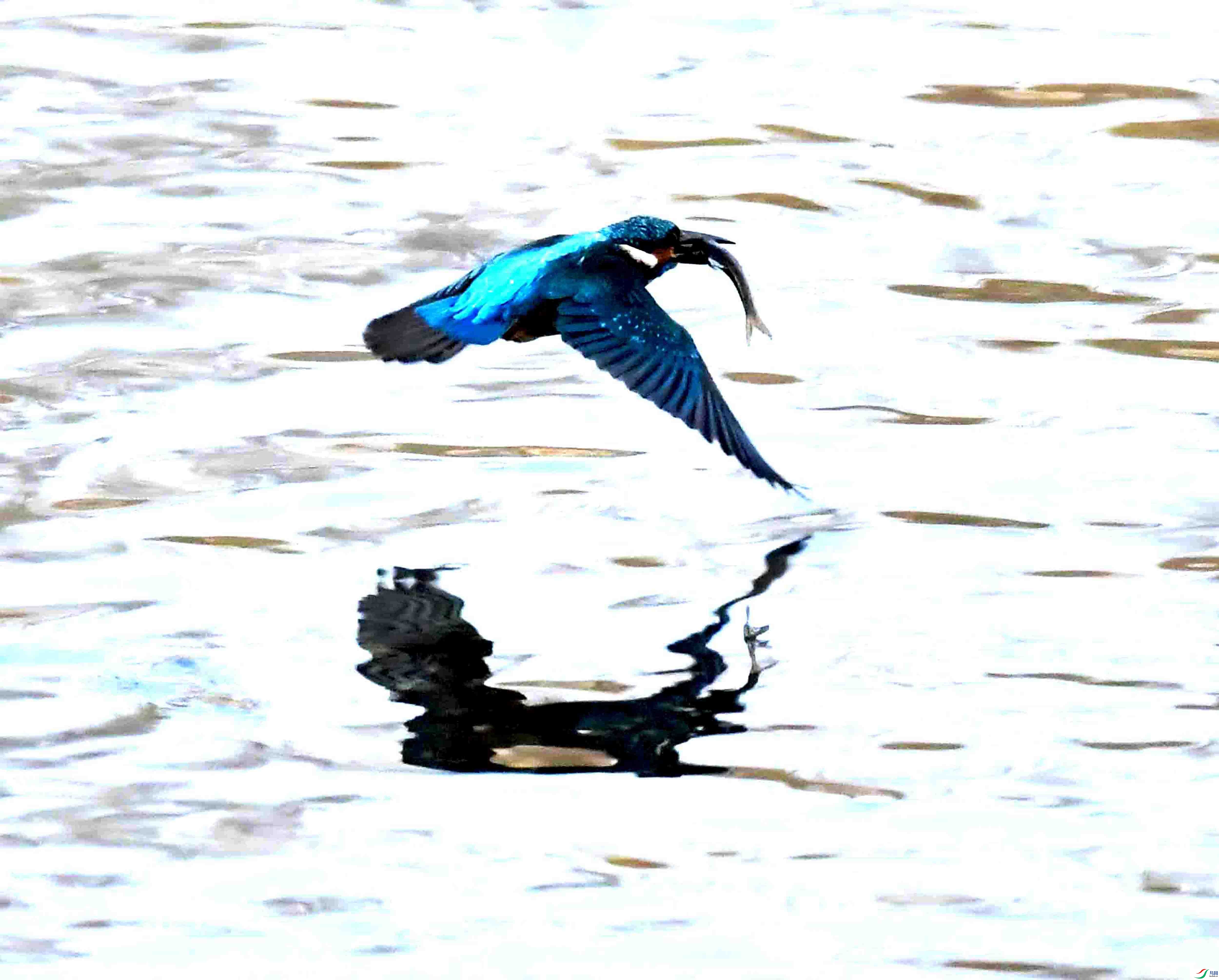 DSC_3376.JPG